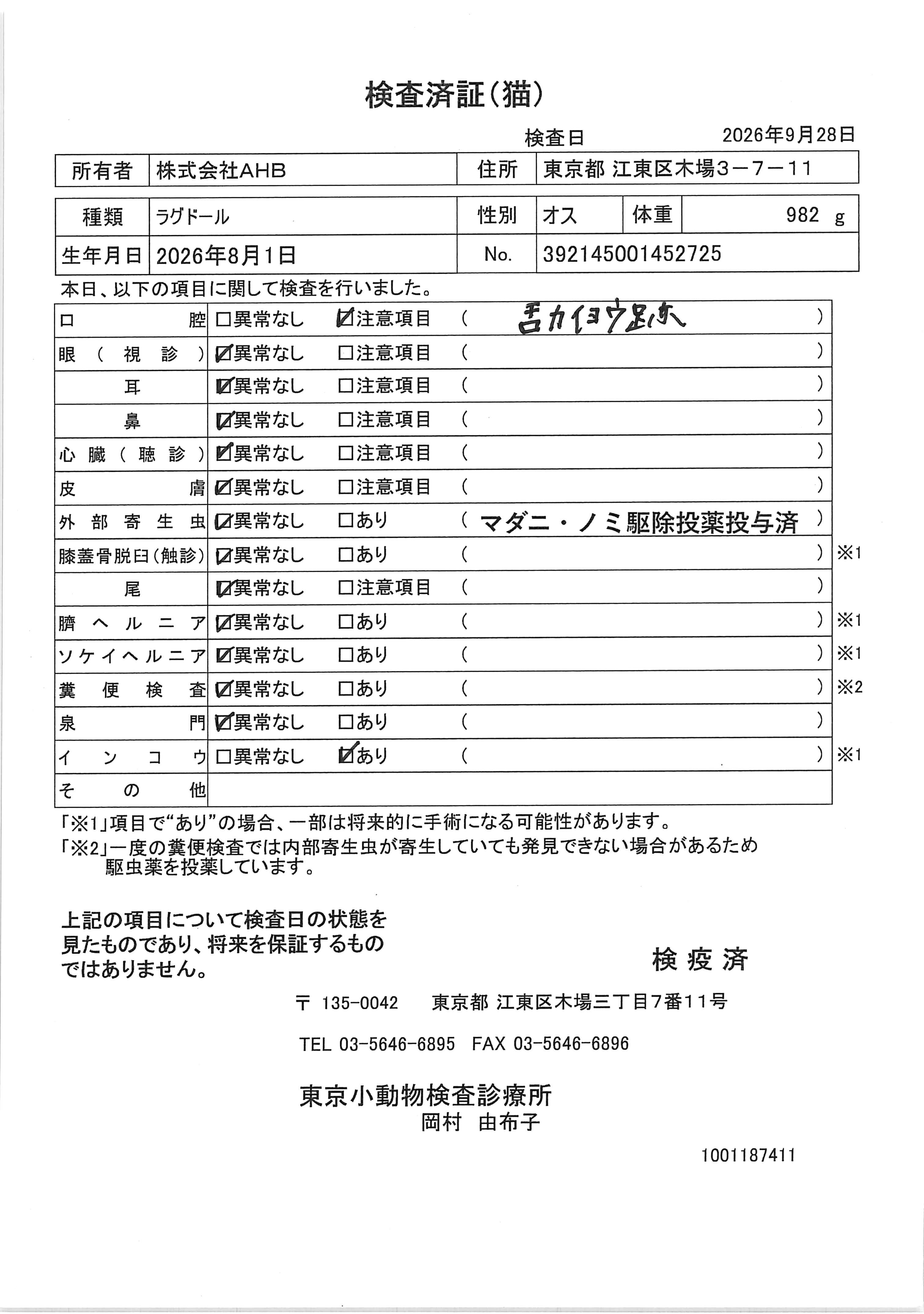 ラグドール