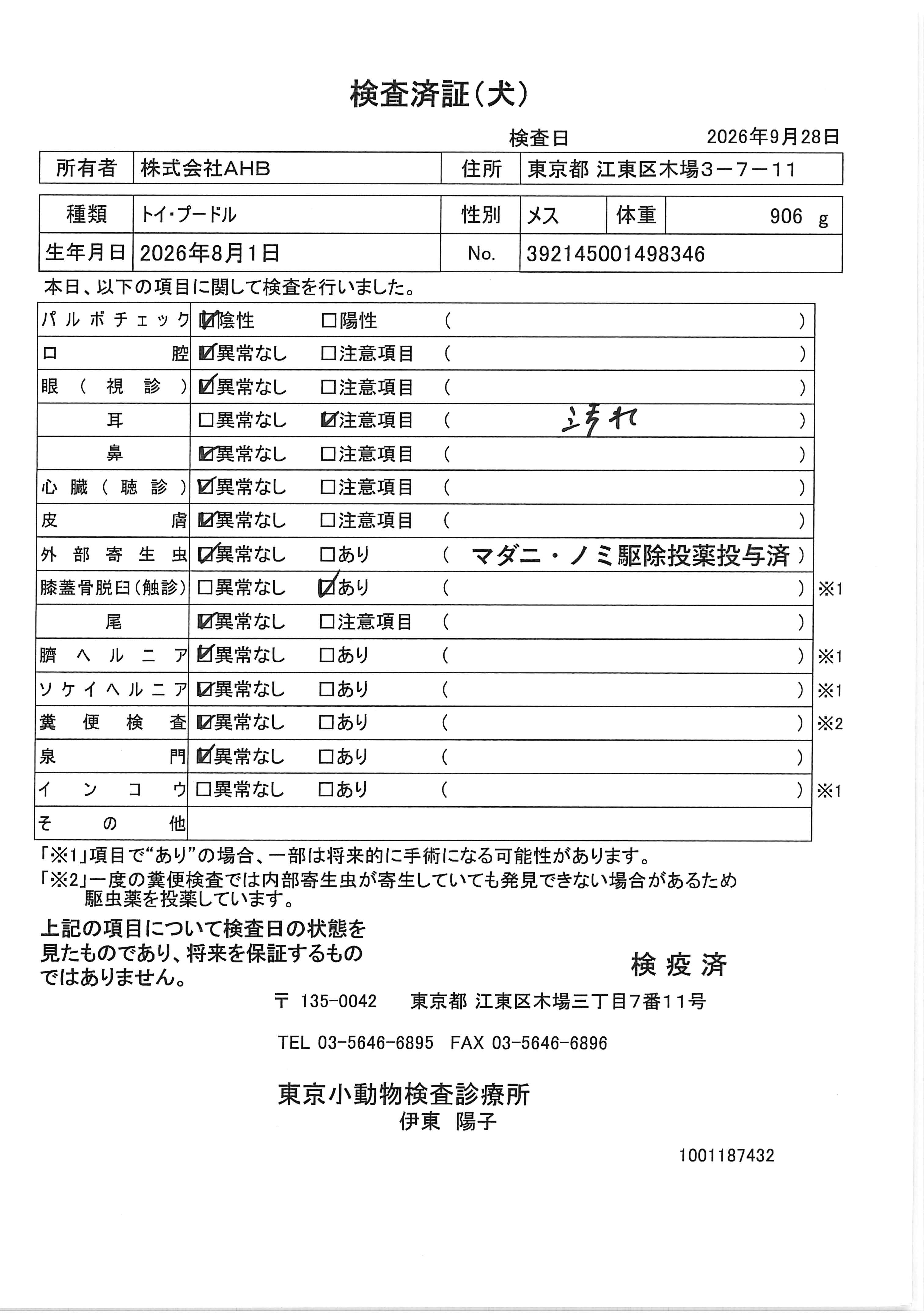 トイ・プードル