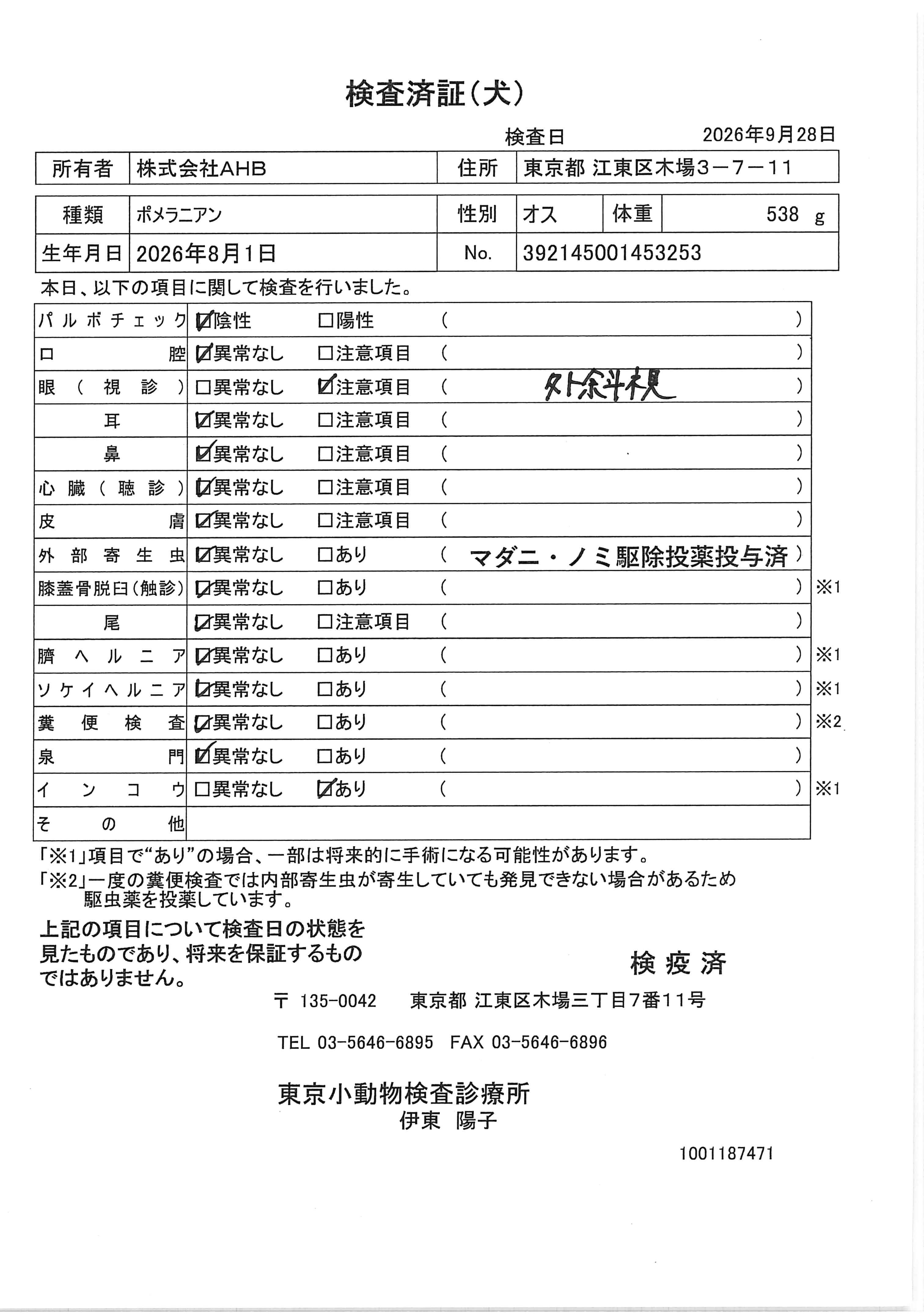 ポメラニアン