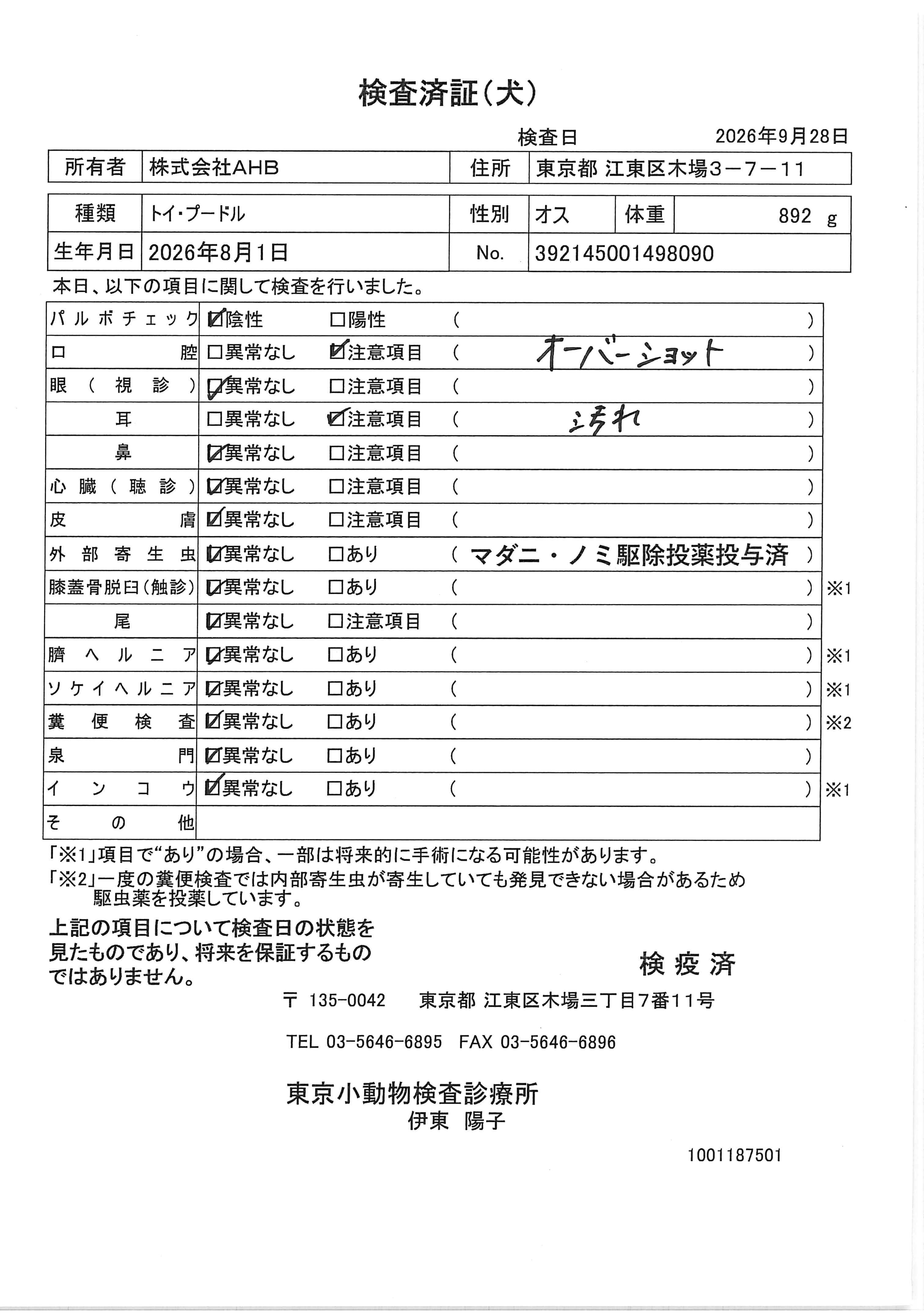 トイ・プードル