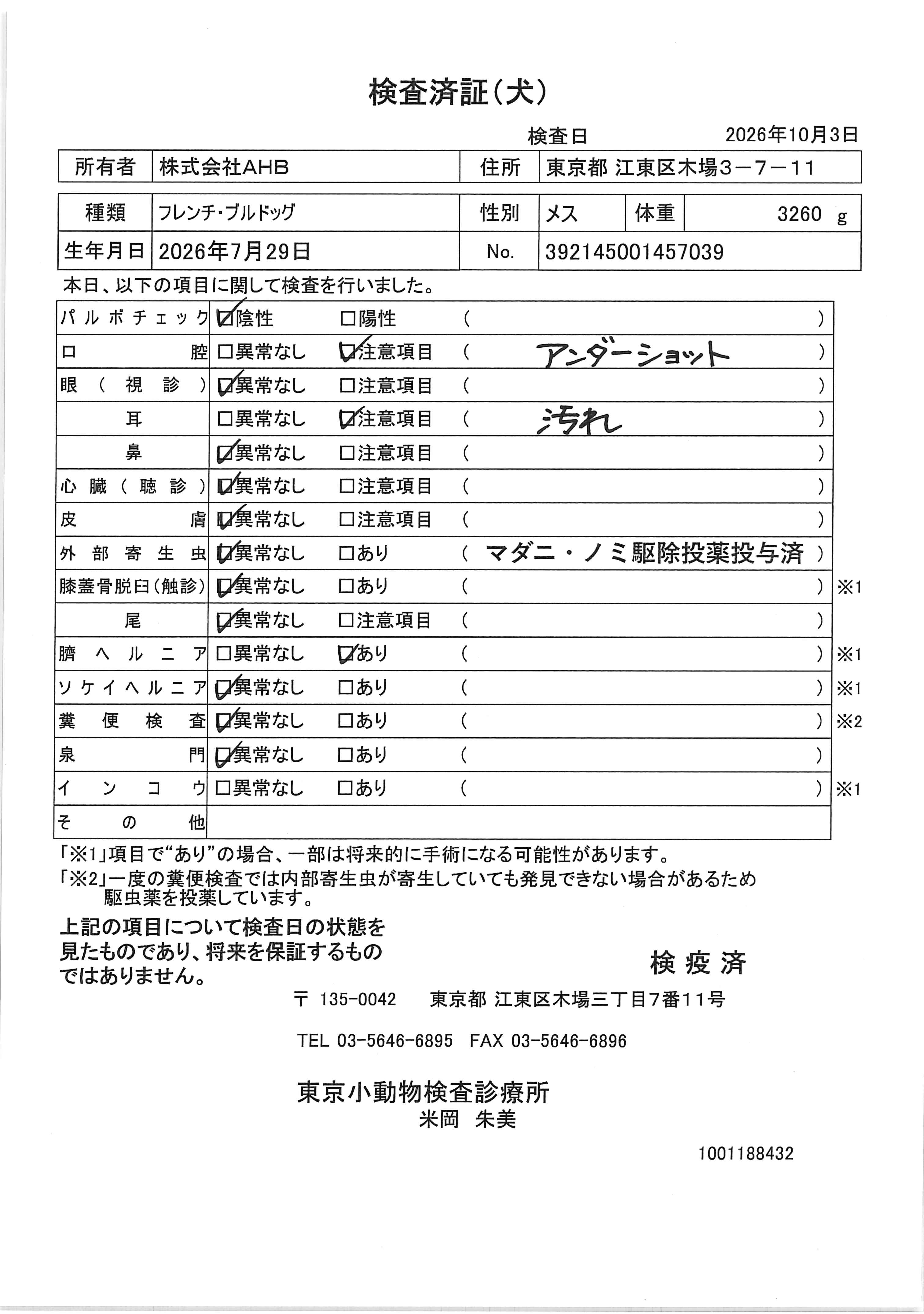 フレンチ・ブルドッグ