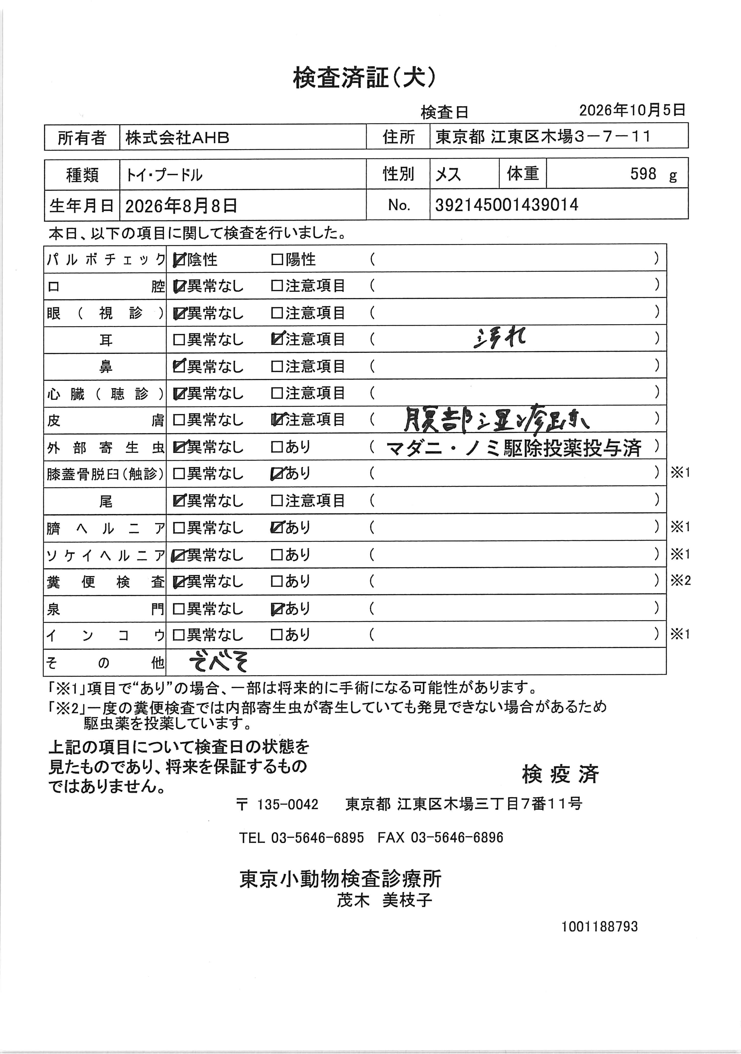 トイ・プードル