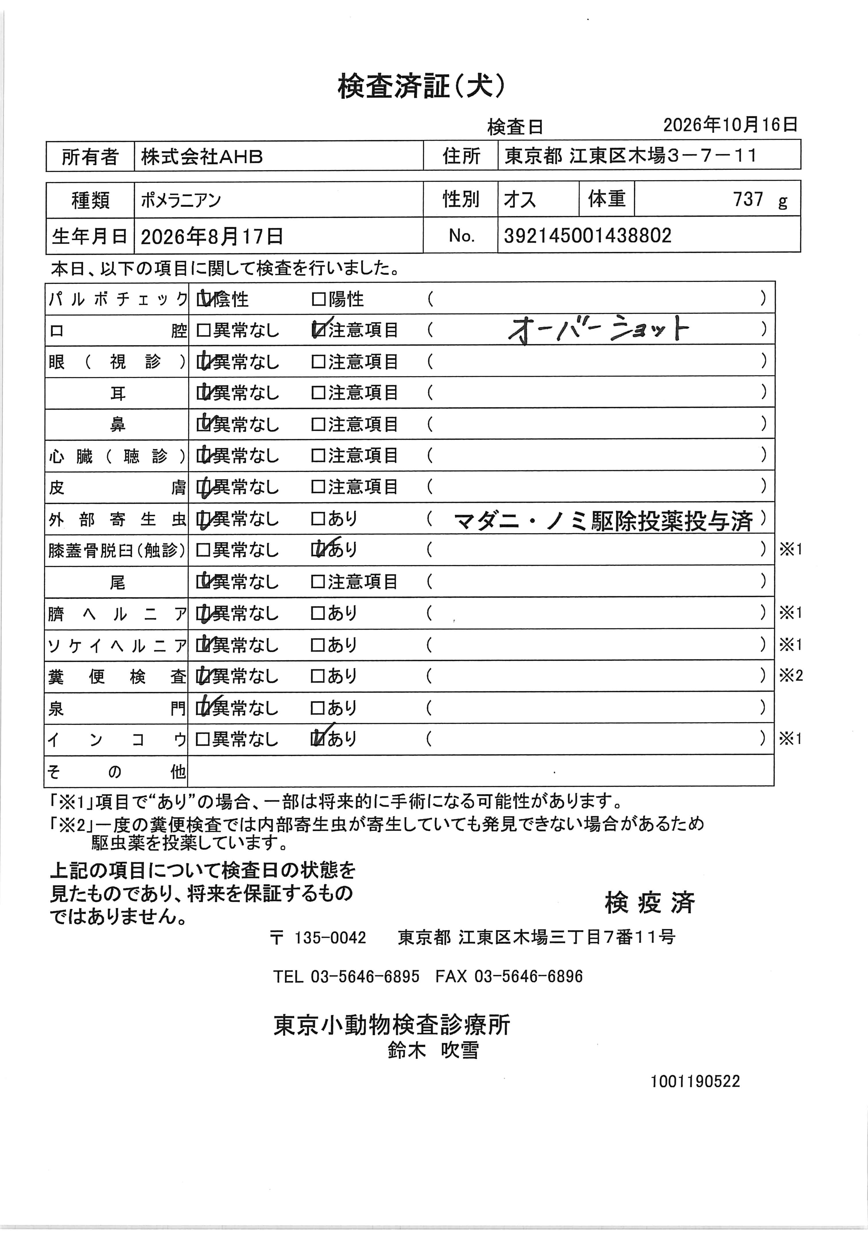 ポメラニアン