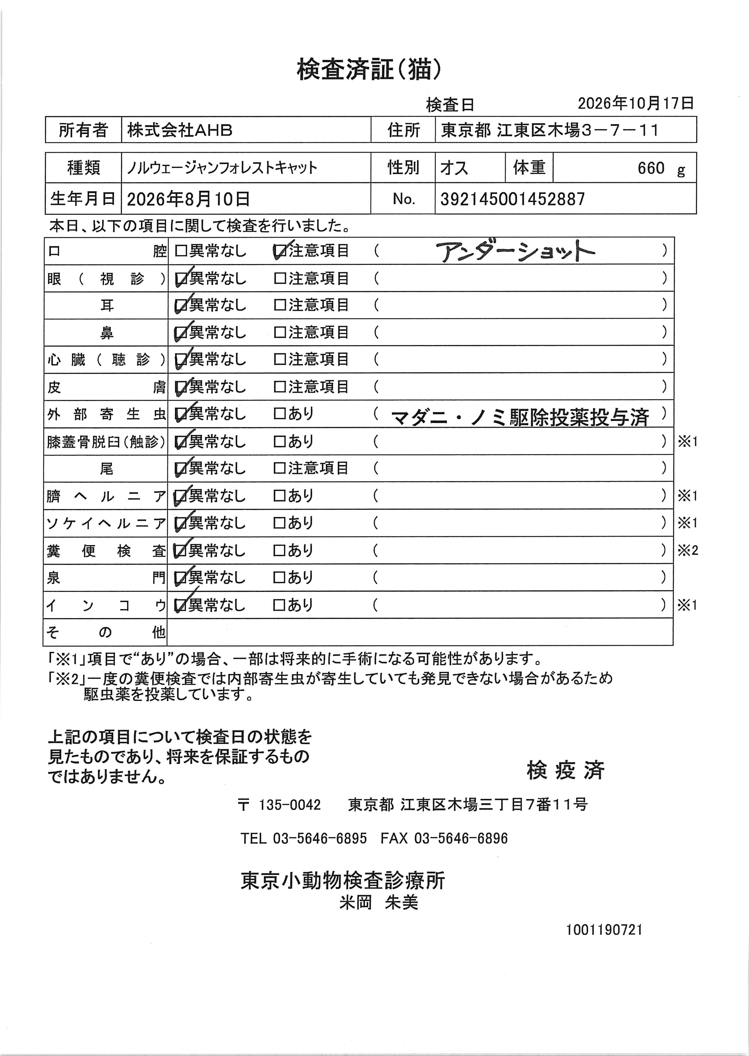 ノルウェージャンフォレストキャット