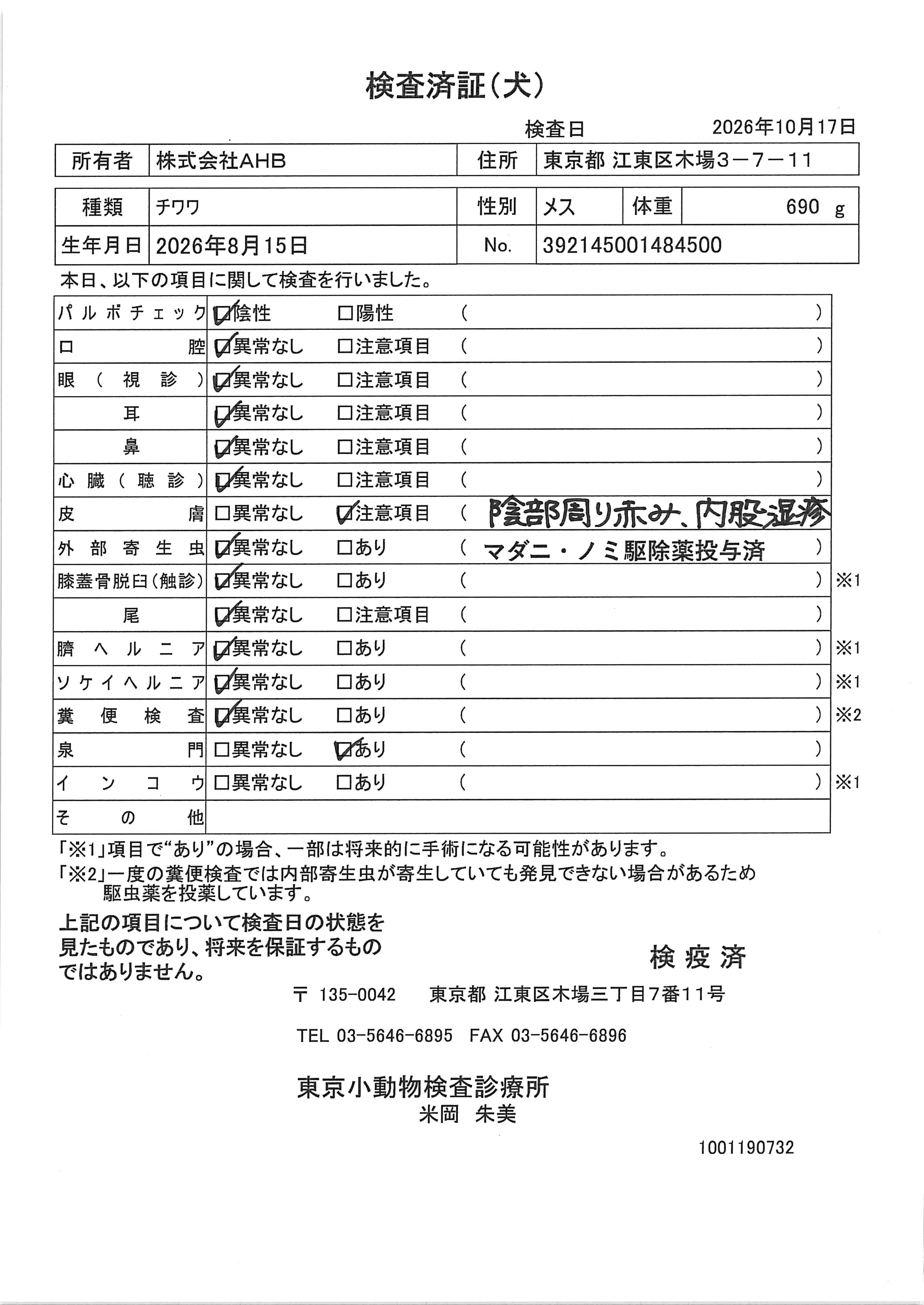 チワワ