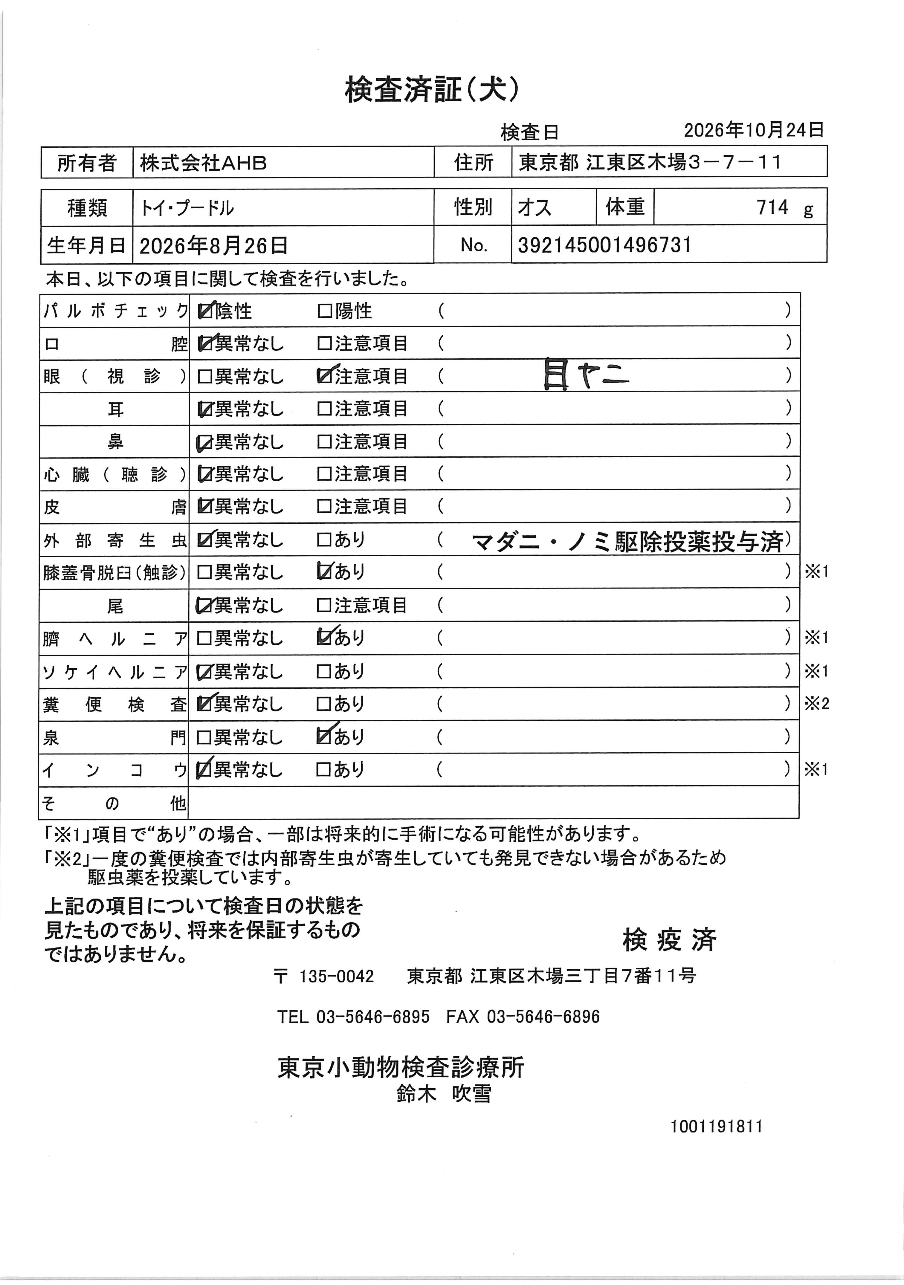 トイ・プードル