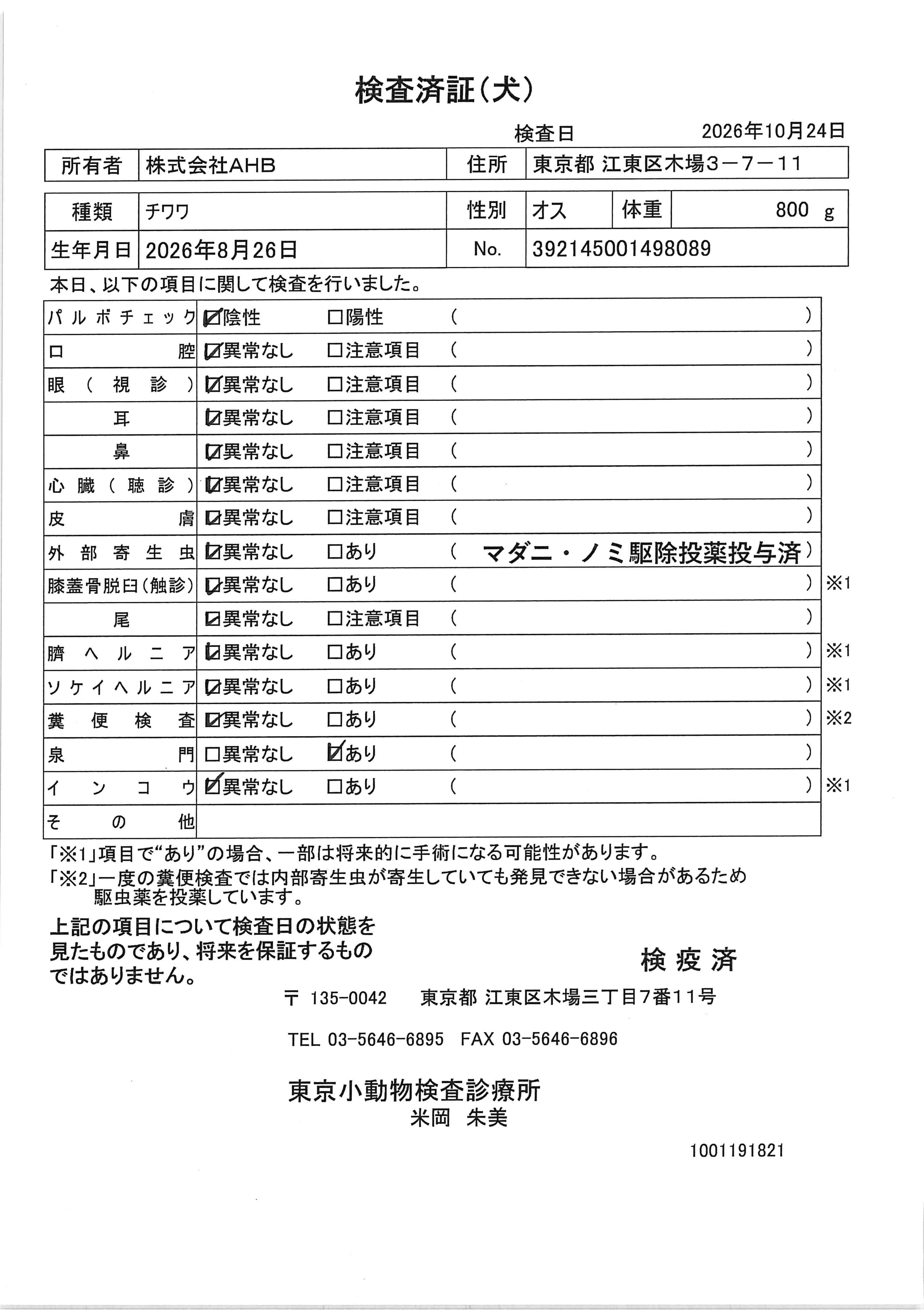 チワワ