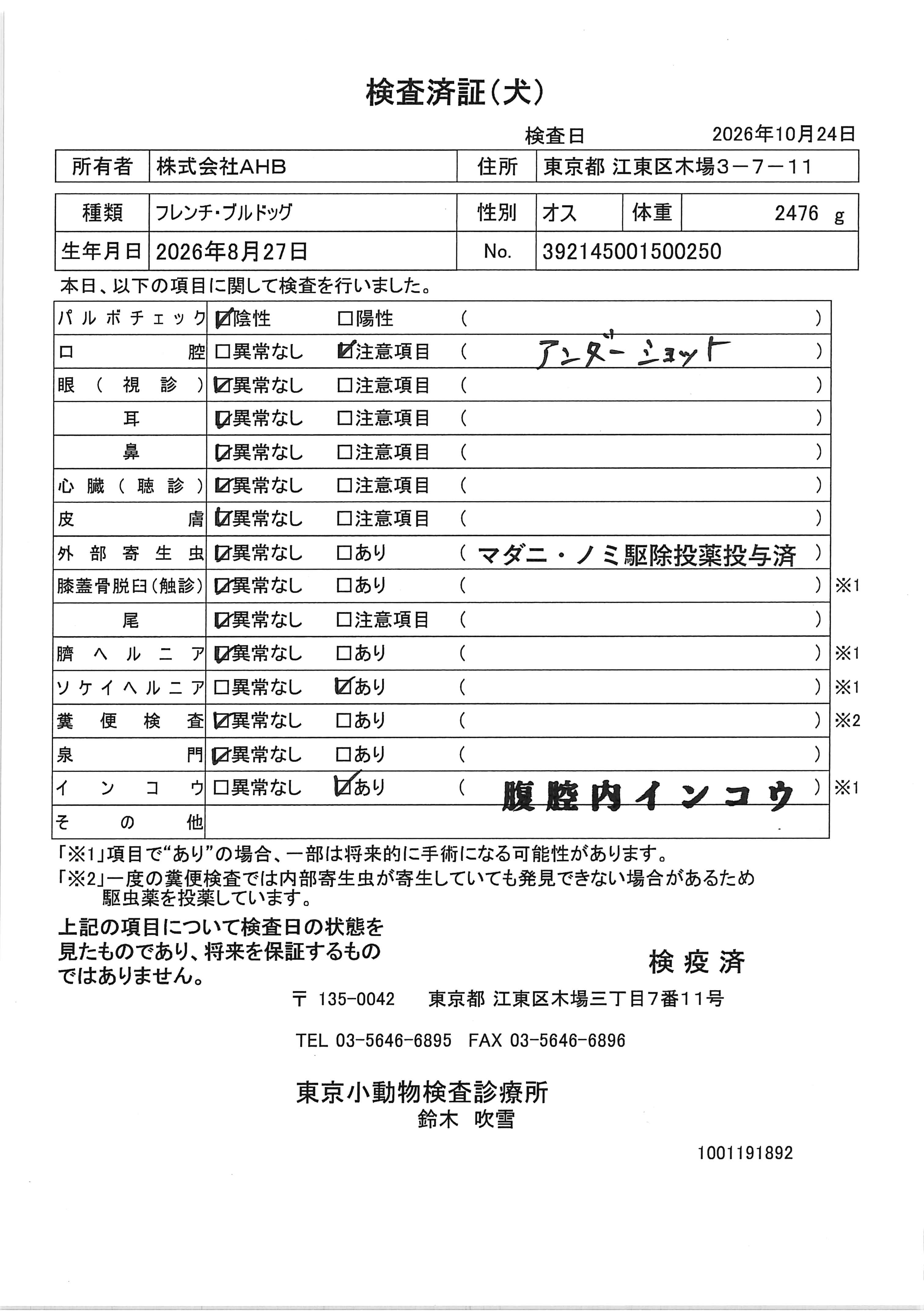 フレンチ・ブルドッグ