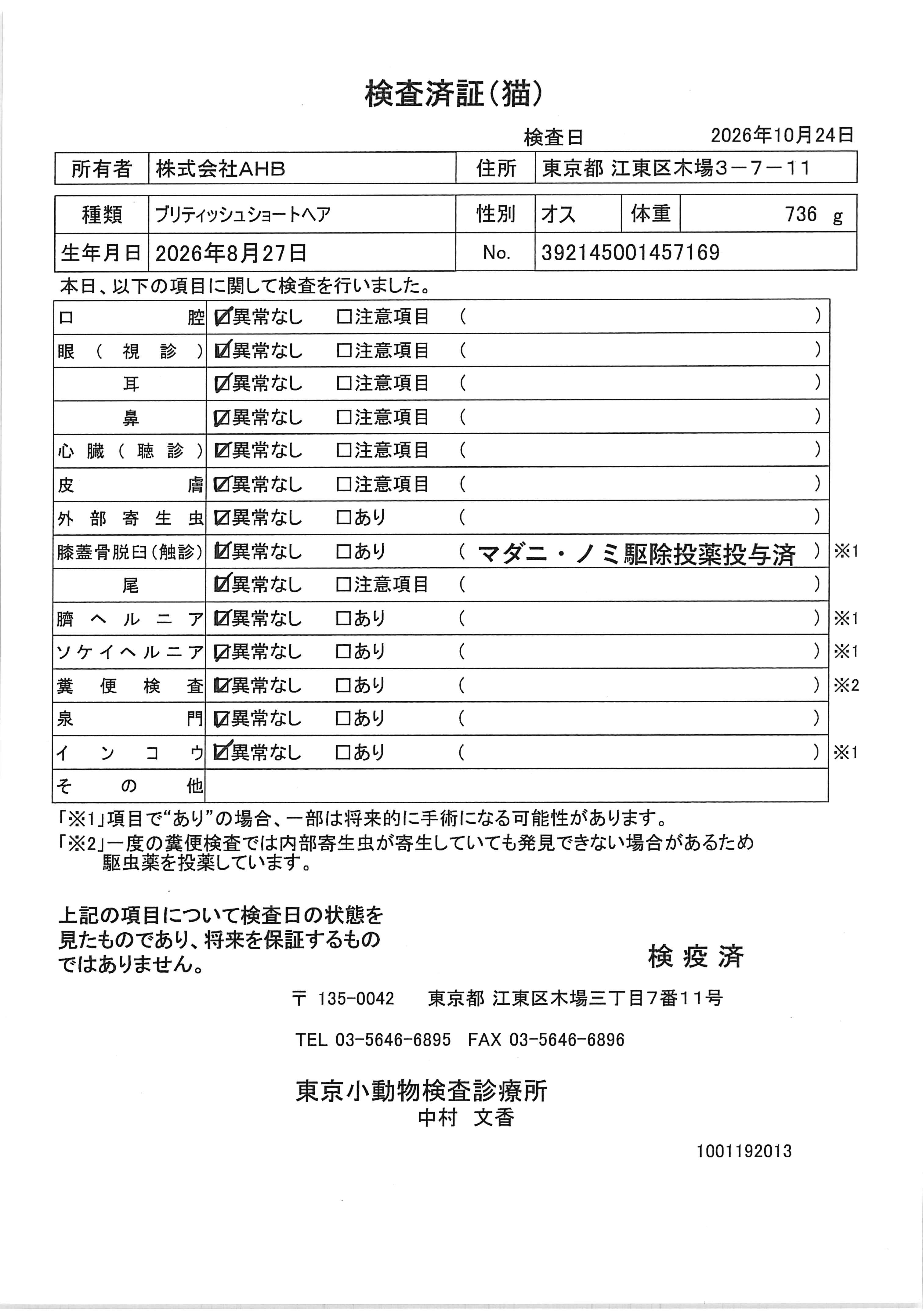 ブリティッシュショートヘア