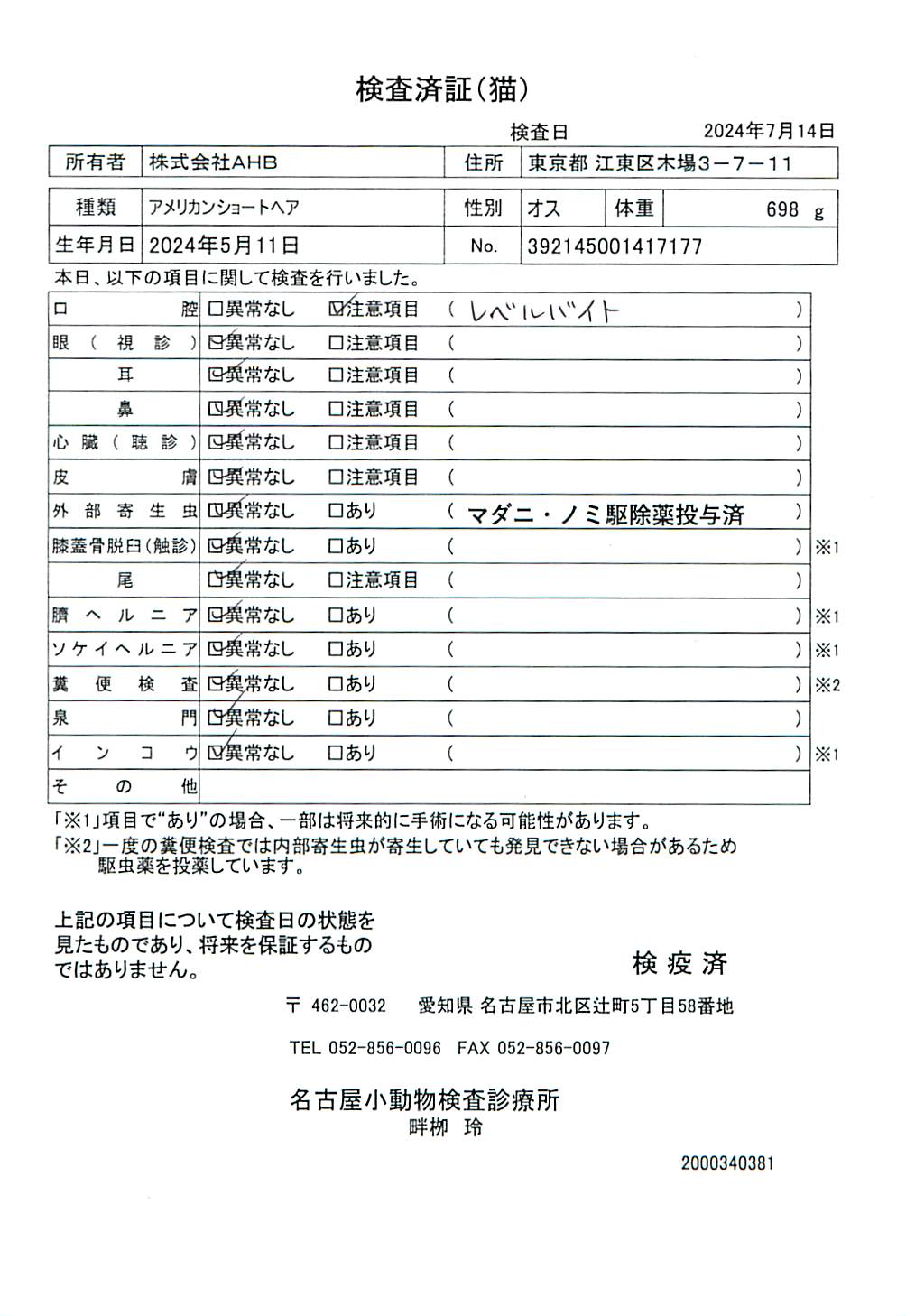 アメリカンショートヘア