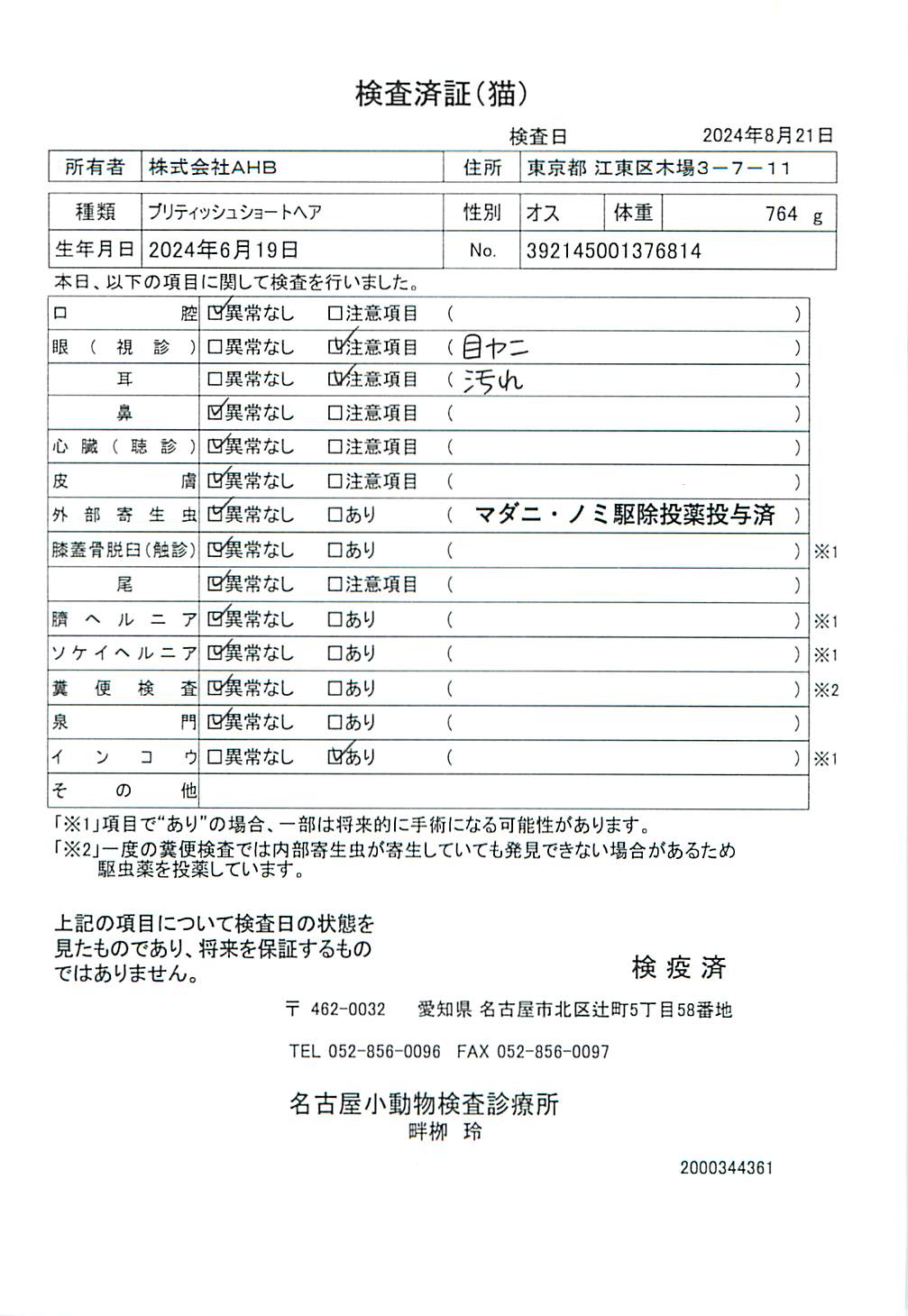 ブリティッシュショートヘア