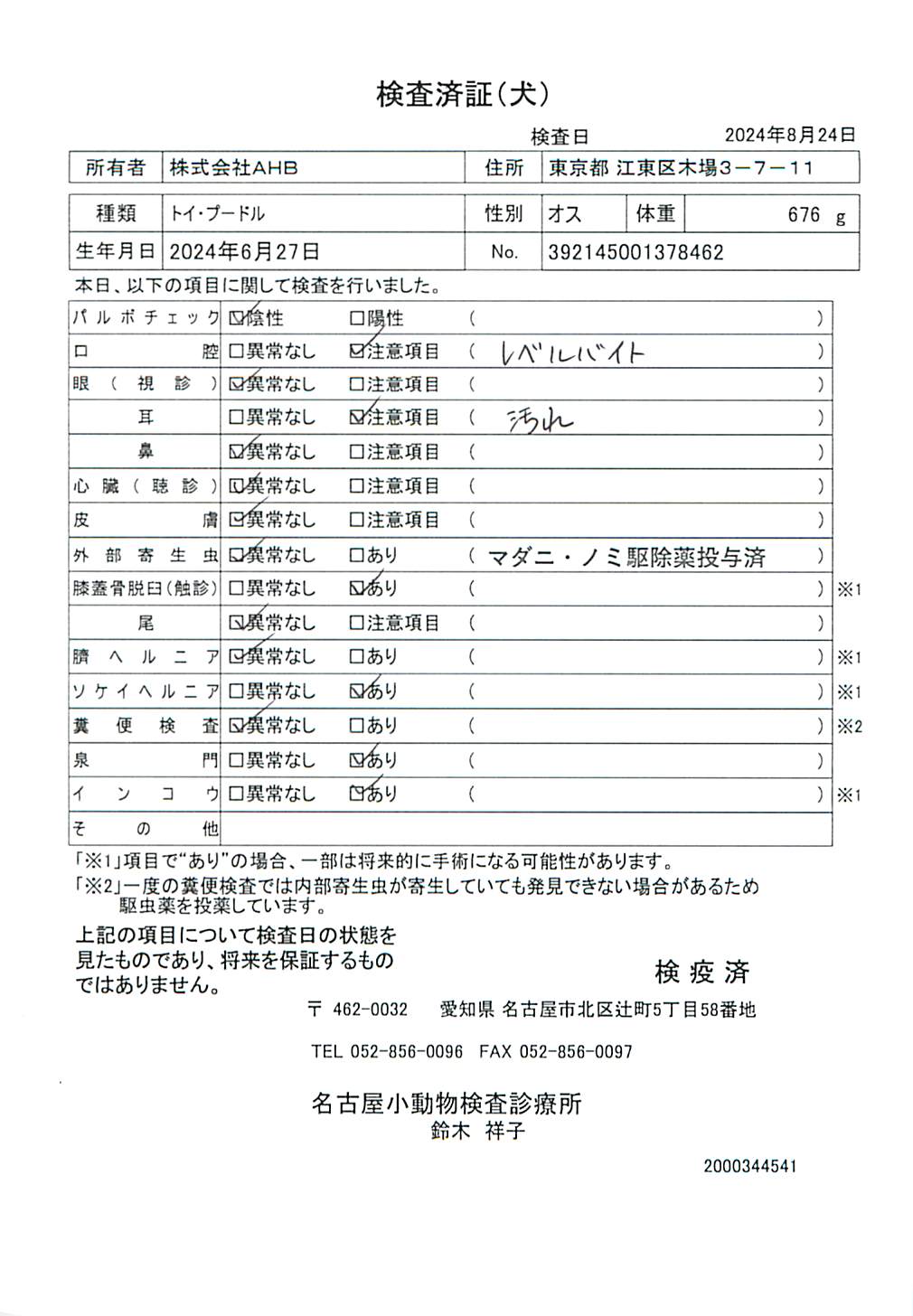 トイ・プードル