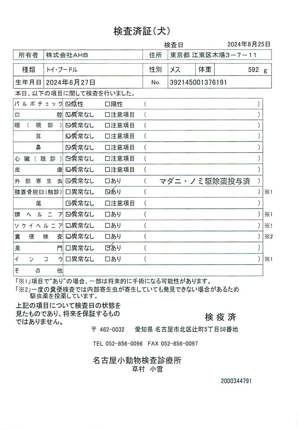 トイ・プードル