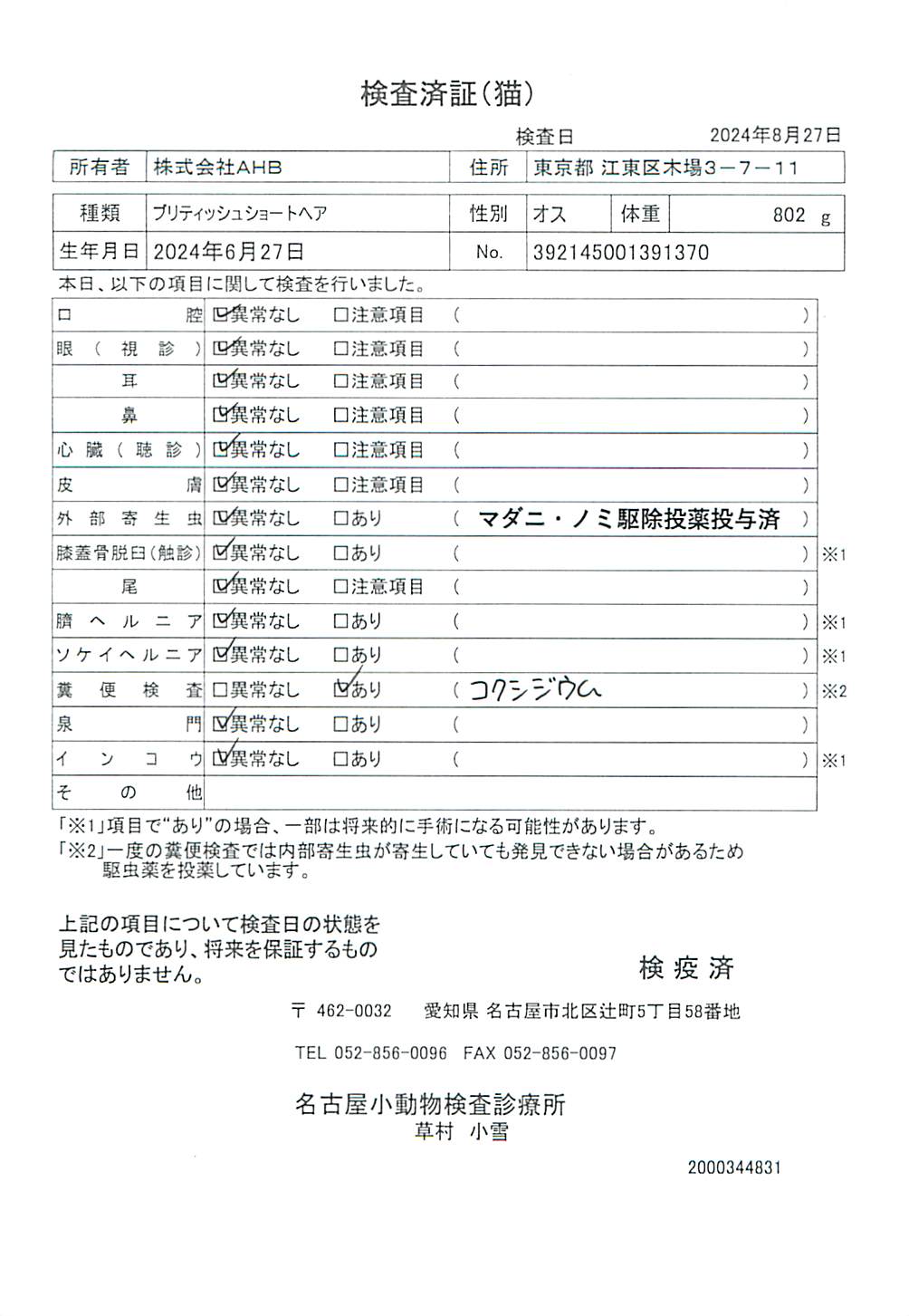 ブリティッシュショートヘア