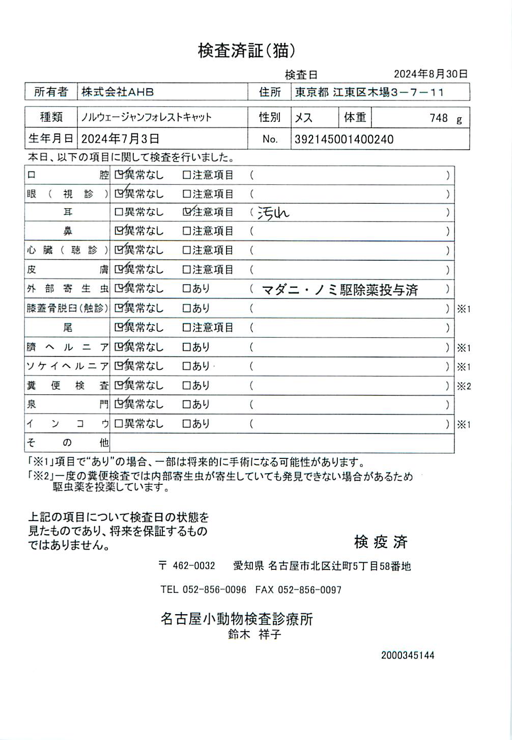 ノルウェージャンフォレストキャット