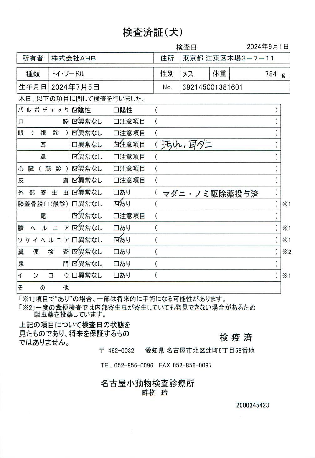 トイ・プードル