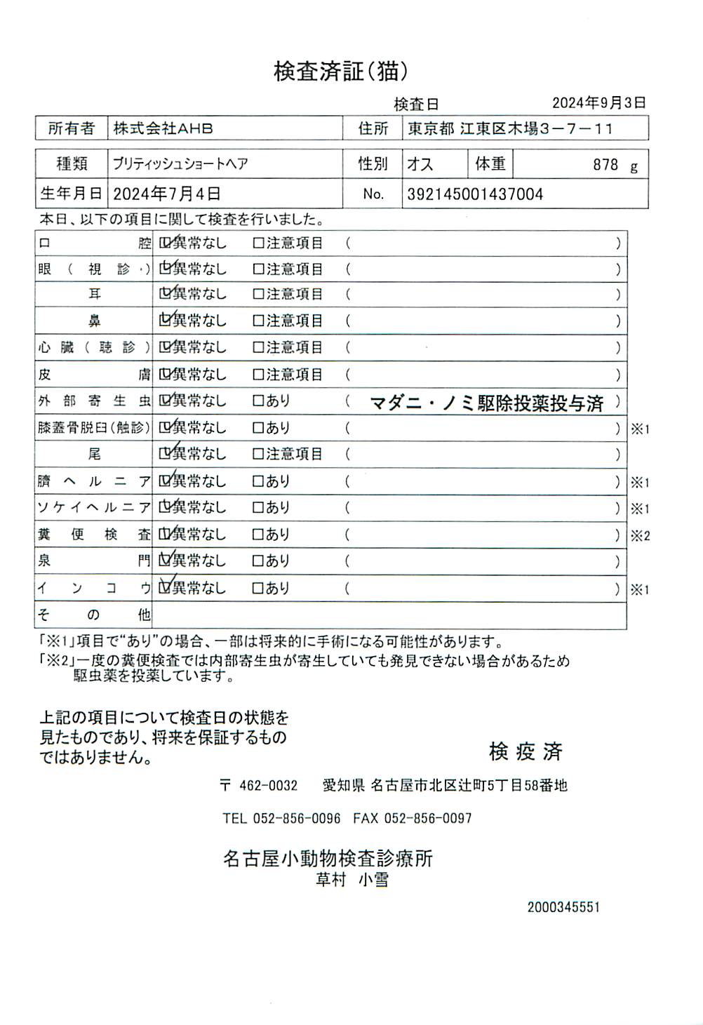 ブリティッシュショートヘア