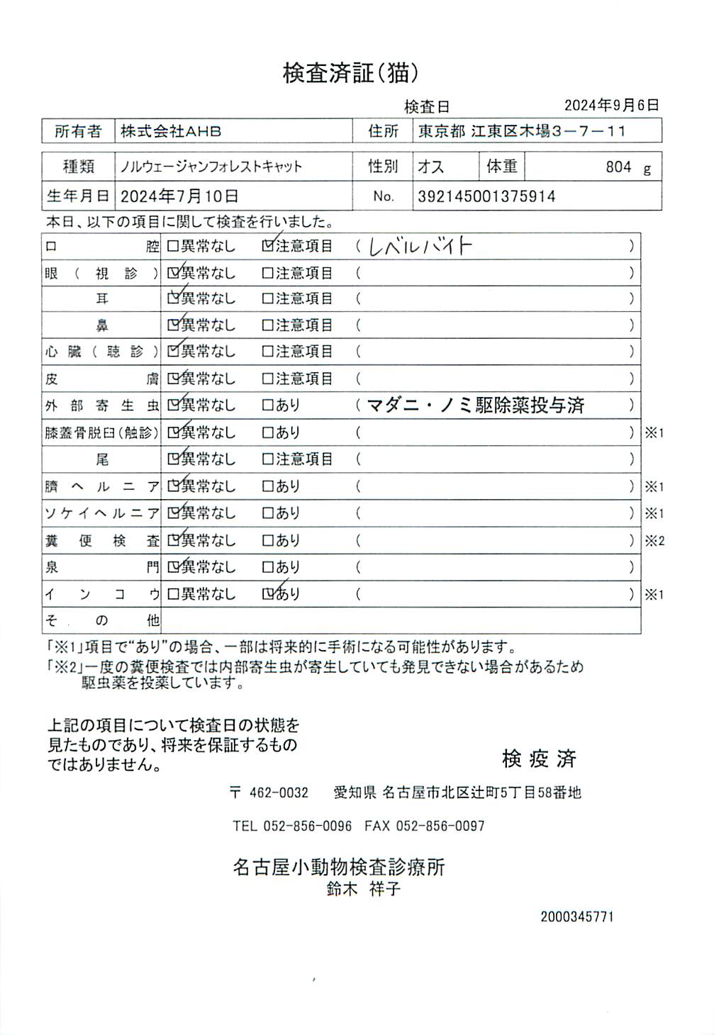 ノルウェージャンフォレストキャット