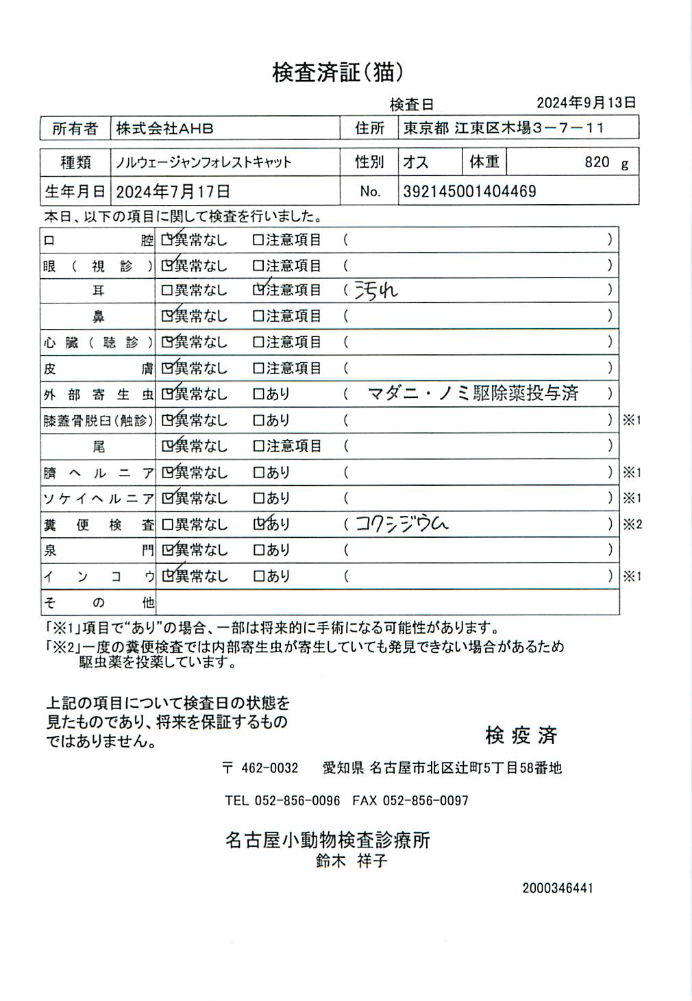 ノルウェージャンフォレストキャット