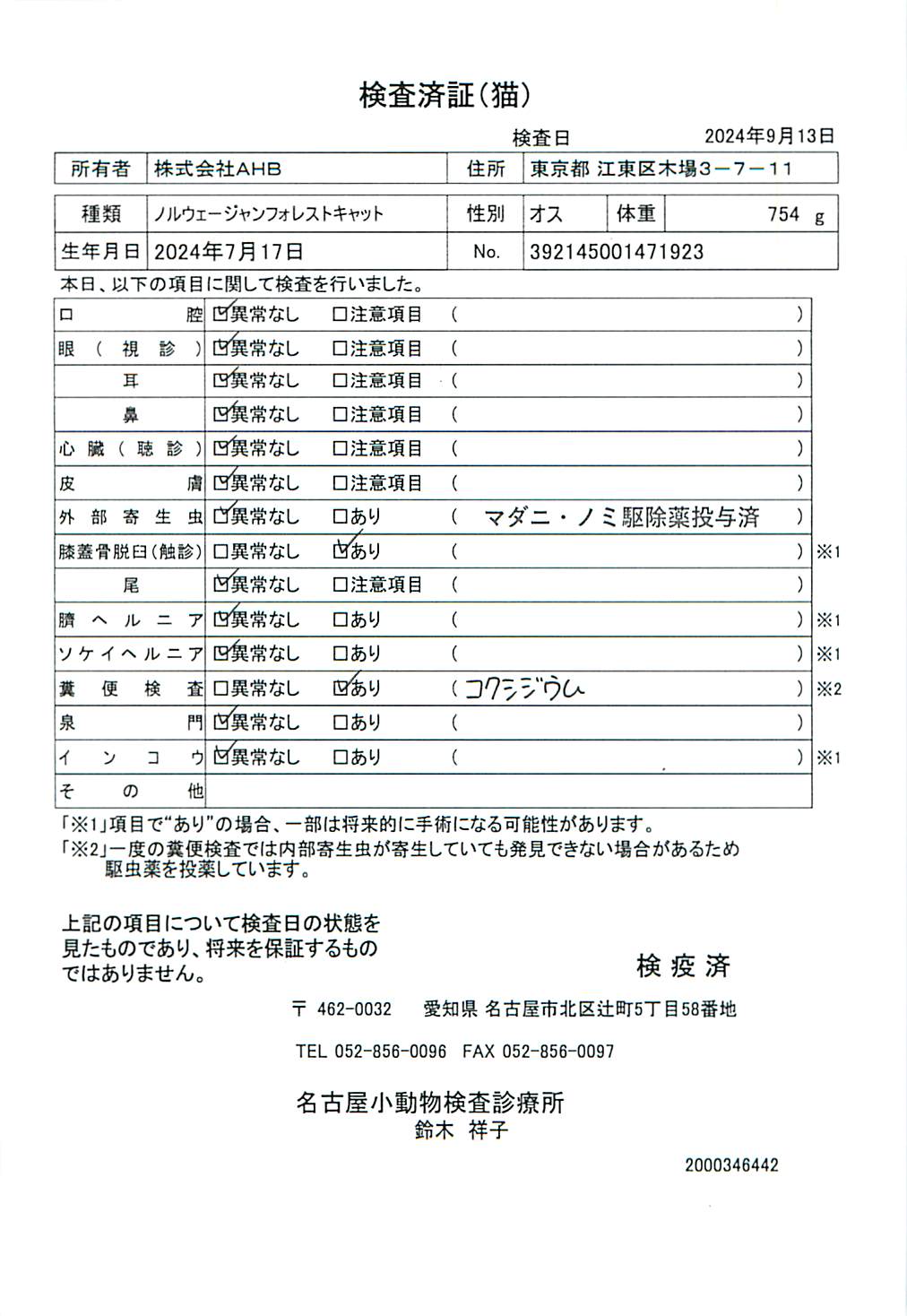 ノルウェージャンフォレストキャット