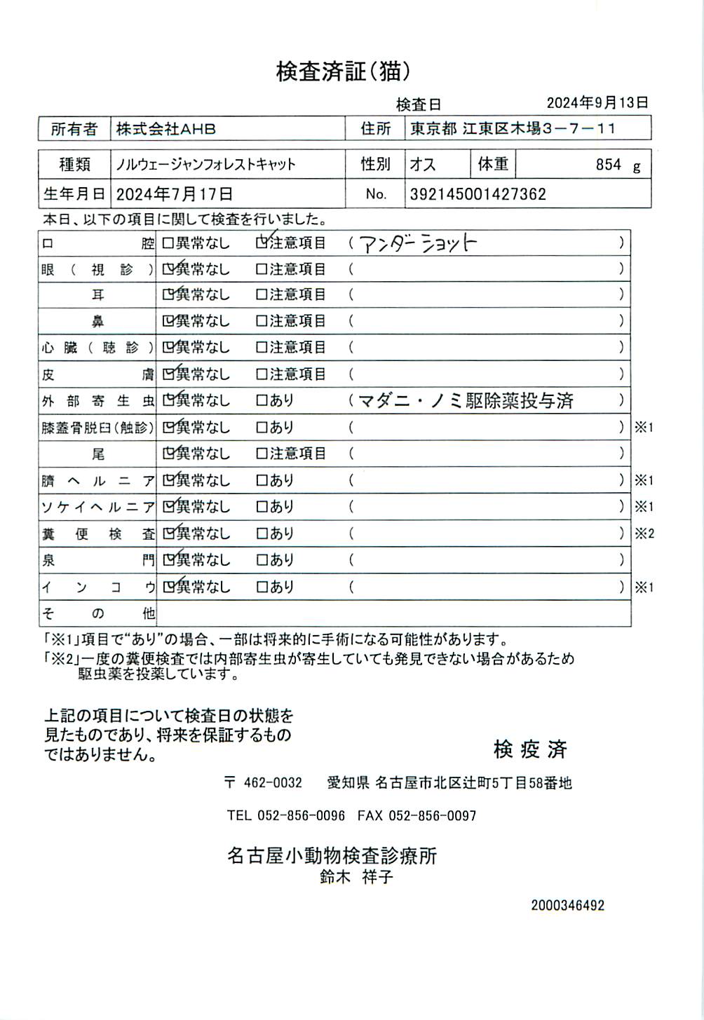 ノルウェージャンフォレストキャット