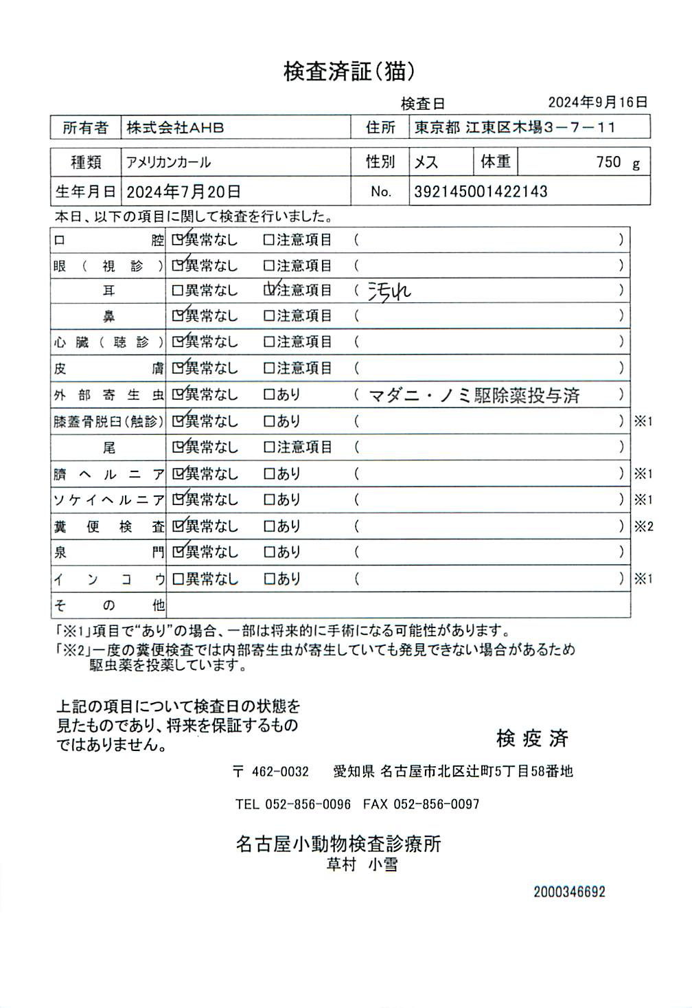 アメリカンカール