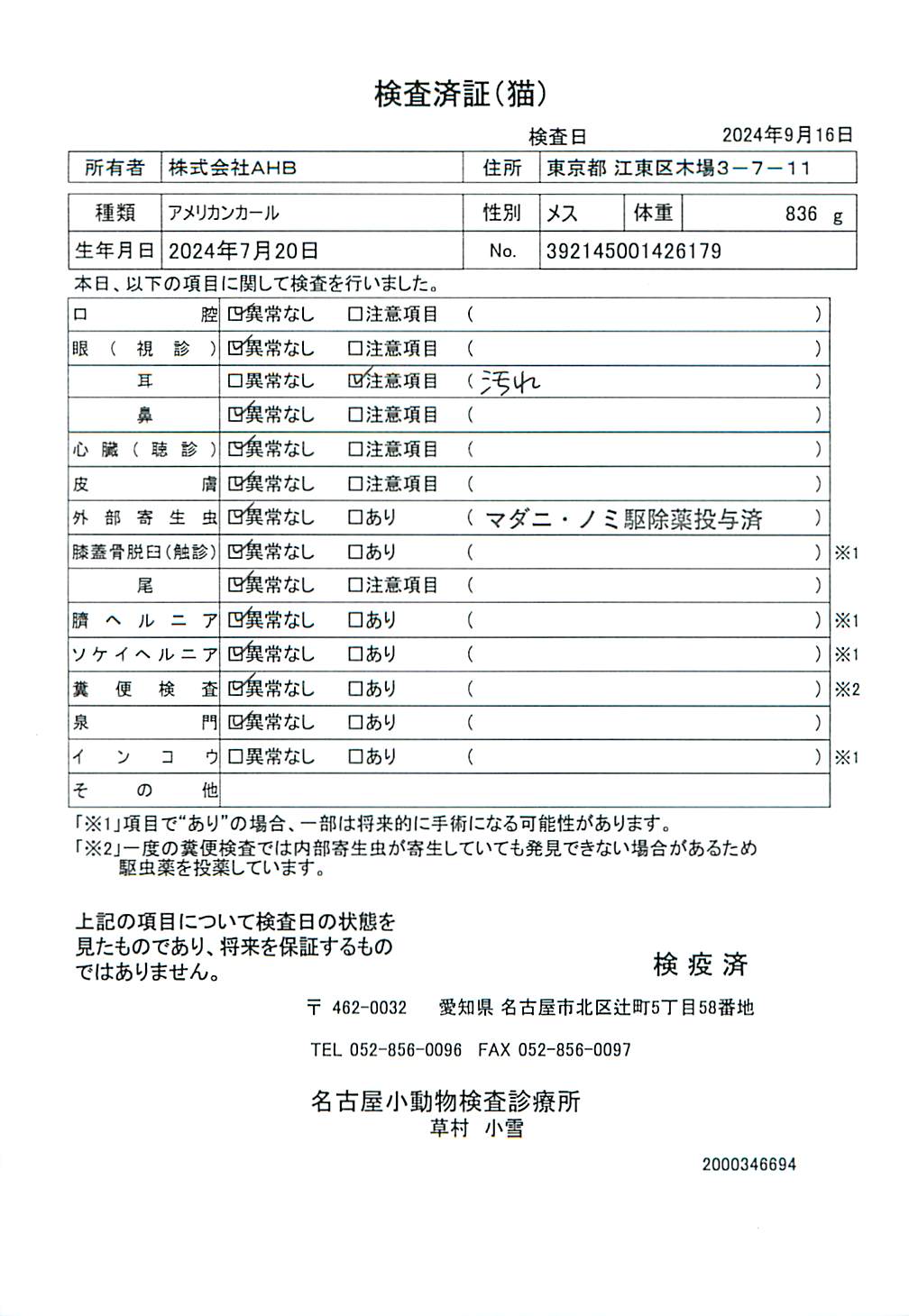 アメリカンカール