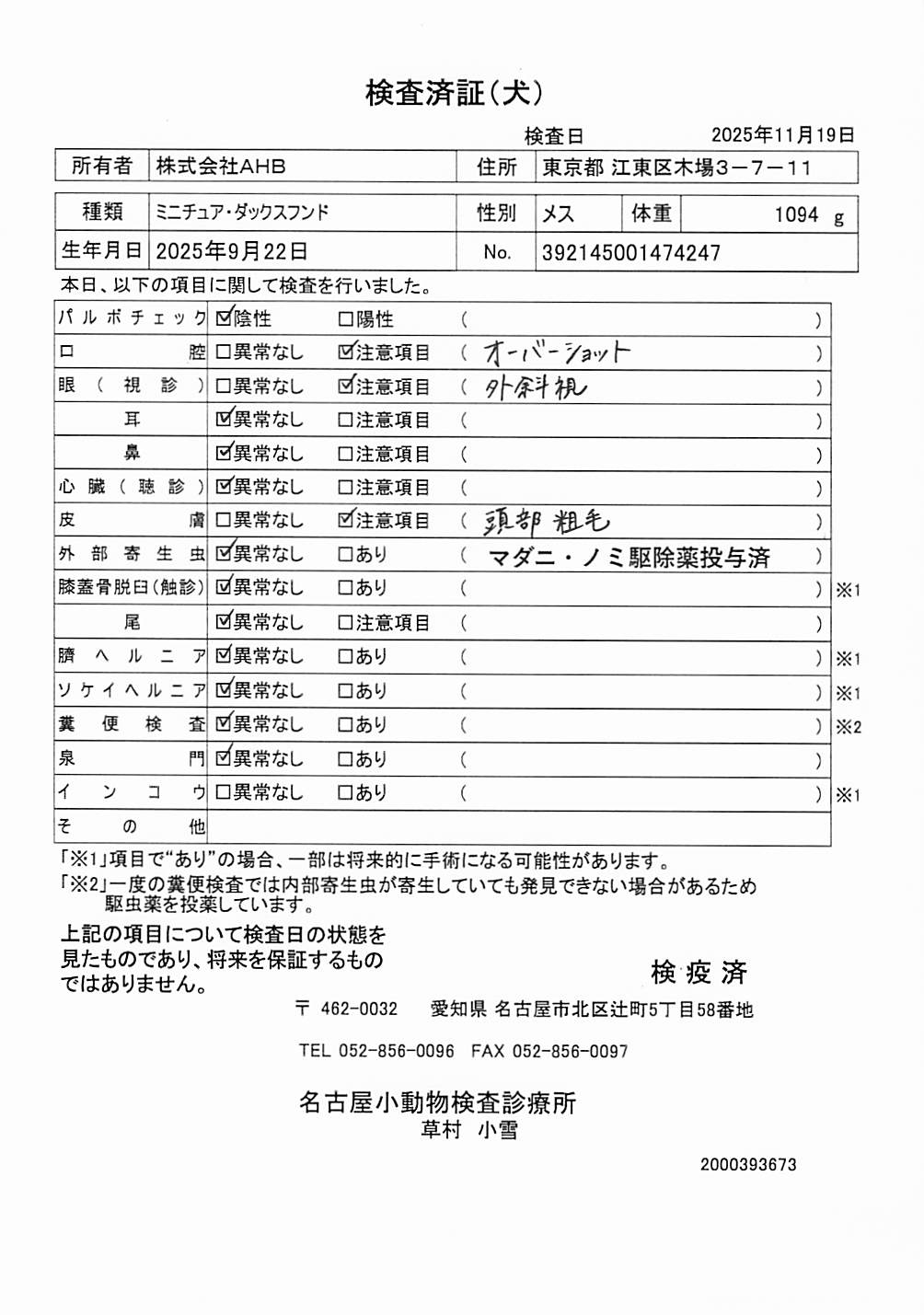 ミニチュア・ダックスフンド