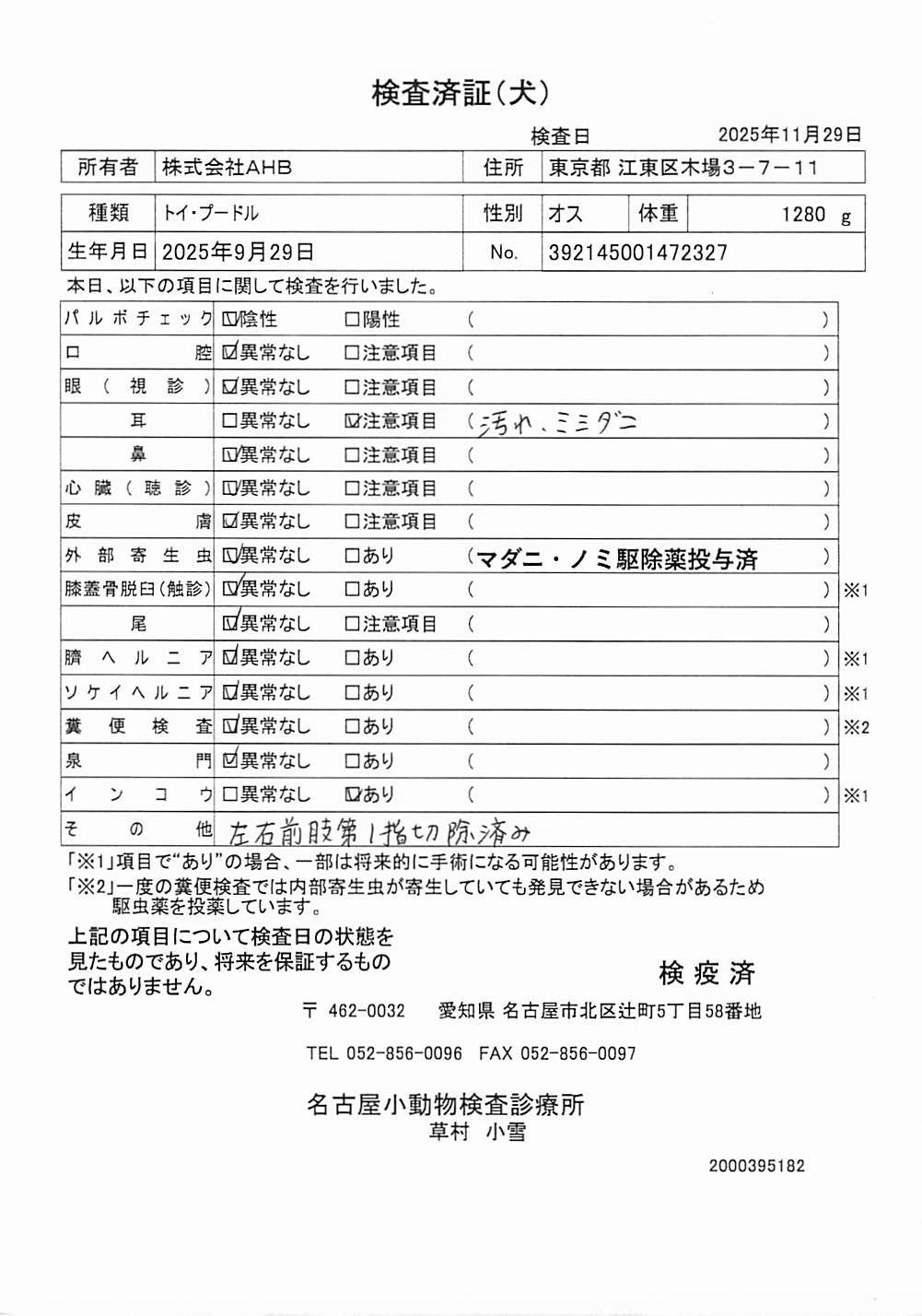 トイ・プードル