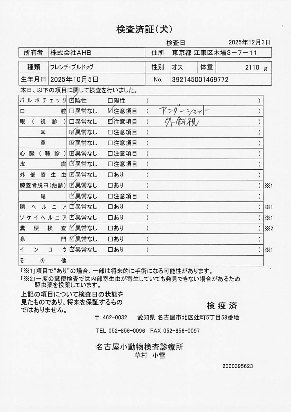 フレンチ・ブルドッグ