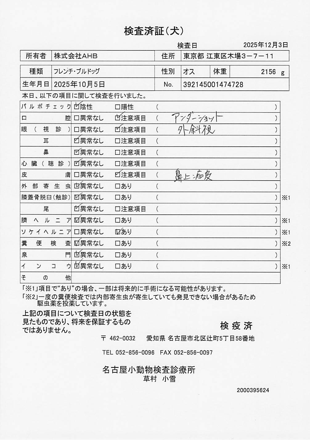 フレンチ・ブルドッグ