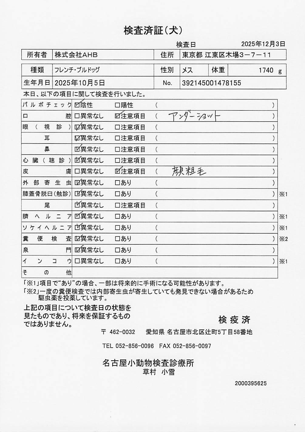 フレンチ・ブルドッグ