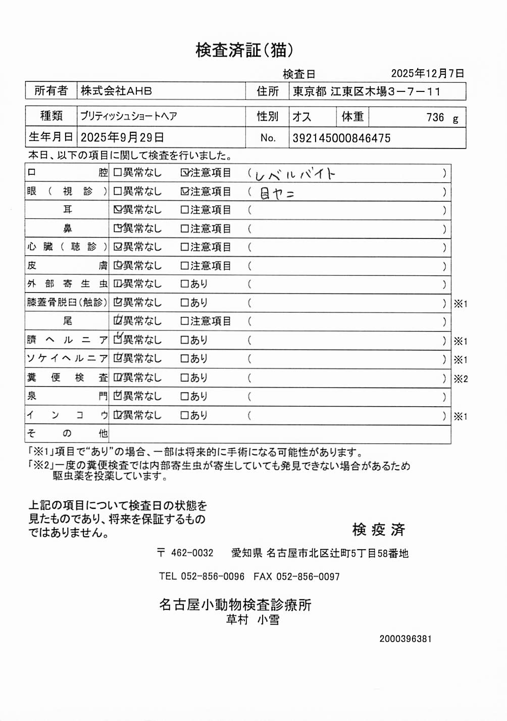 ブリティッシュショートヘア