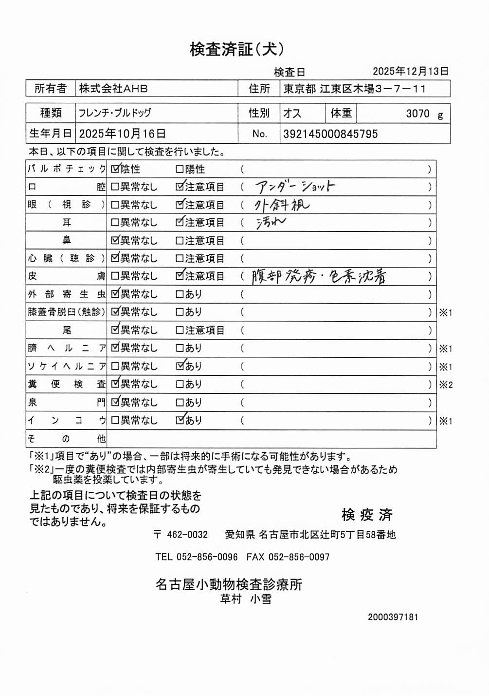 フレンチ・ブルドッグ