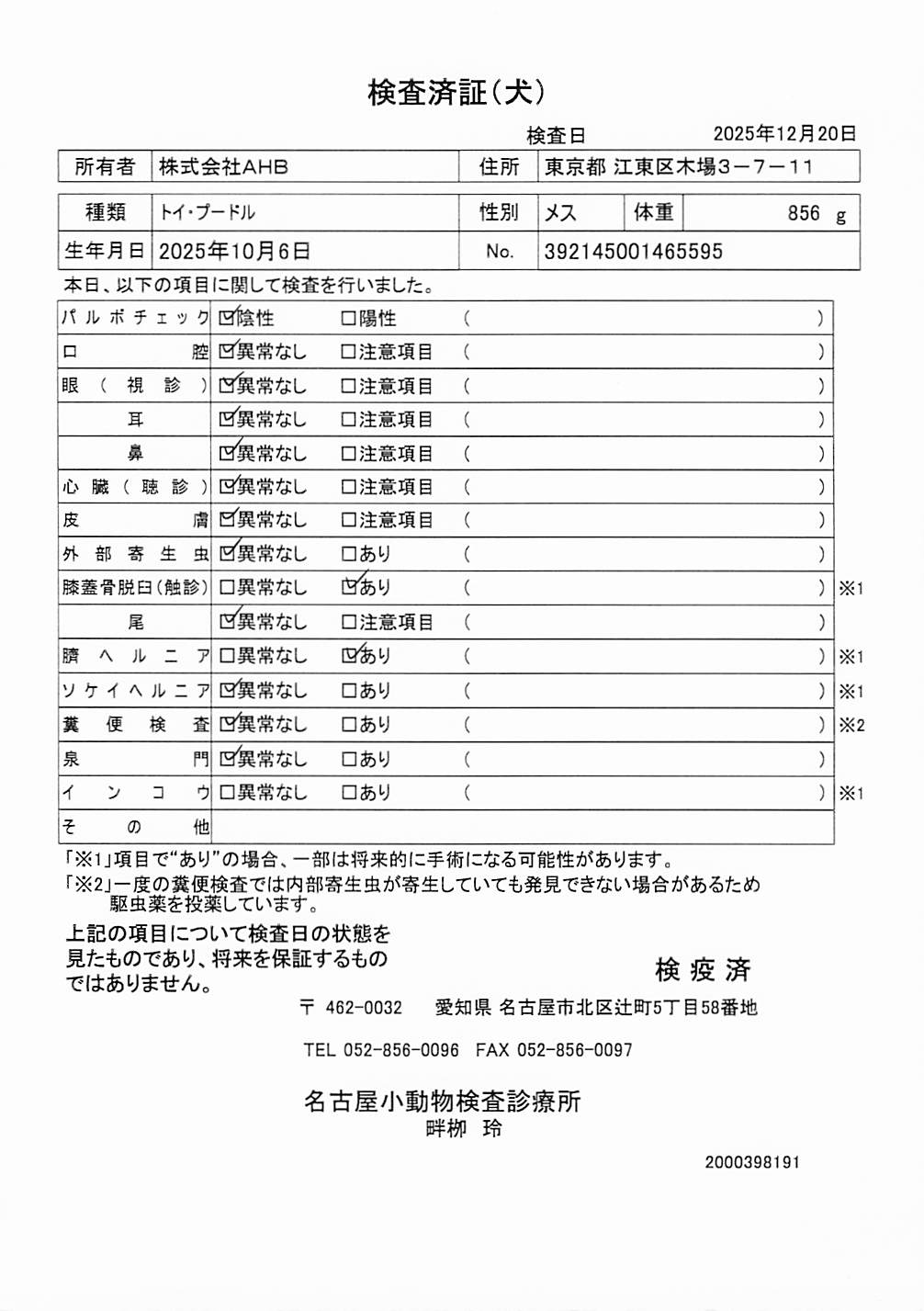 トイ・プードル