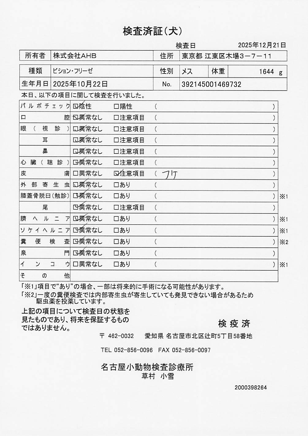 ビション・フリーゼ