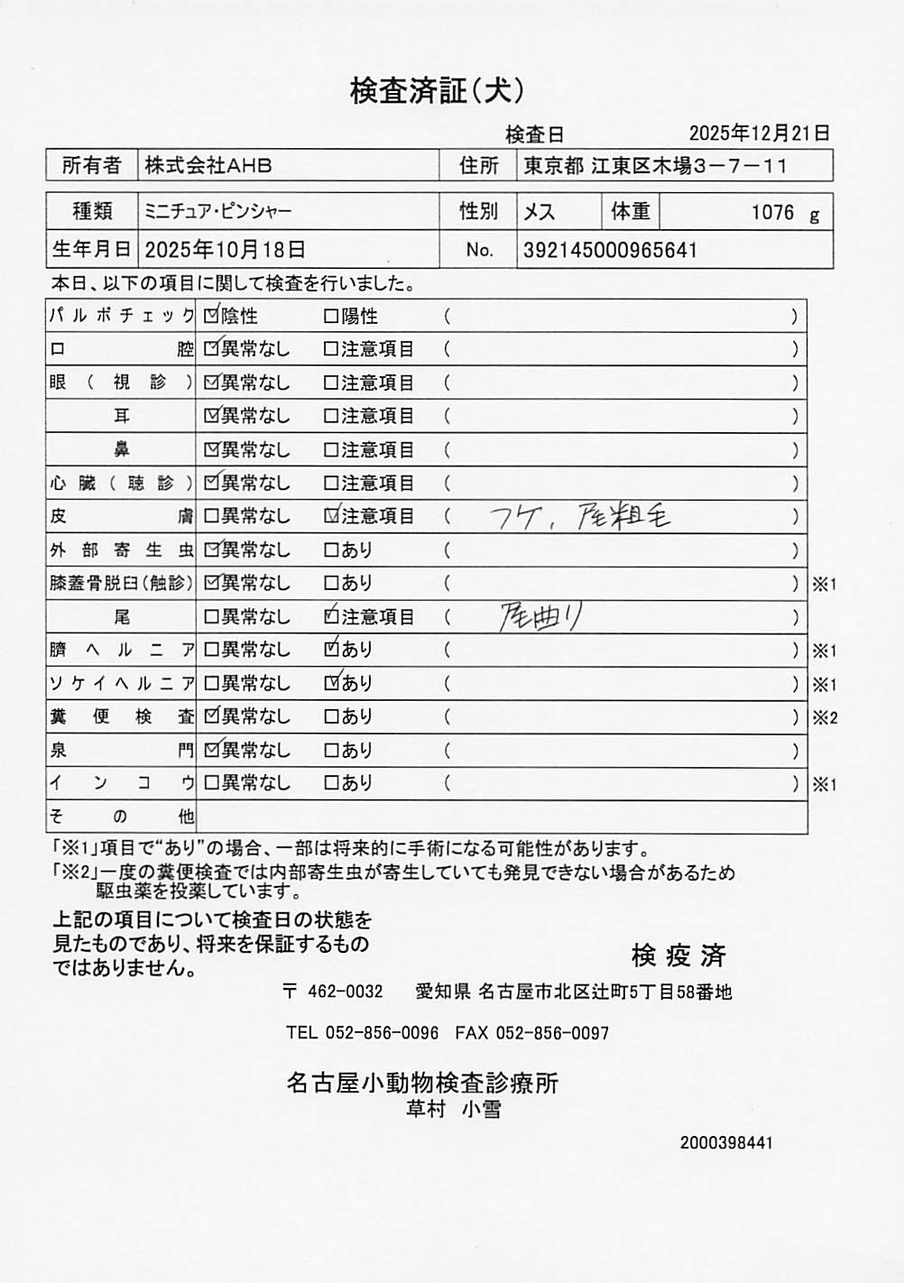 ミニチュア・ピンシャー