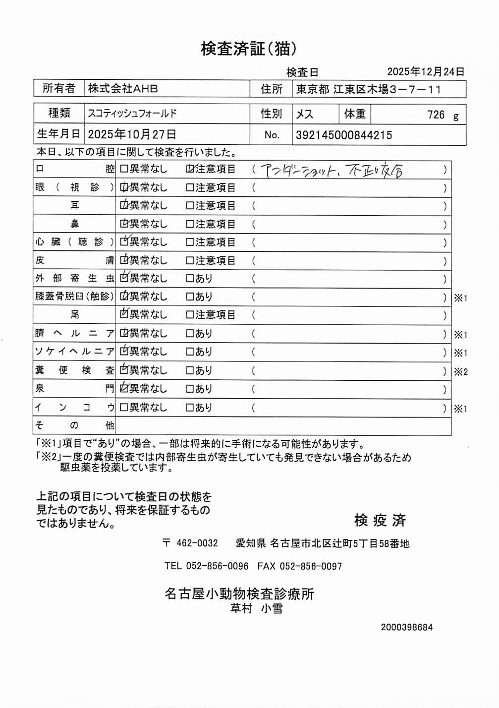 スコティッシュフォールド