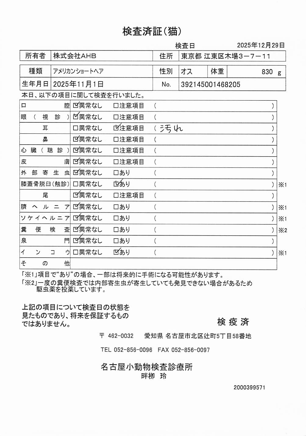 アメリカンショートヘア
