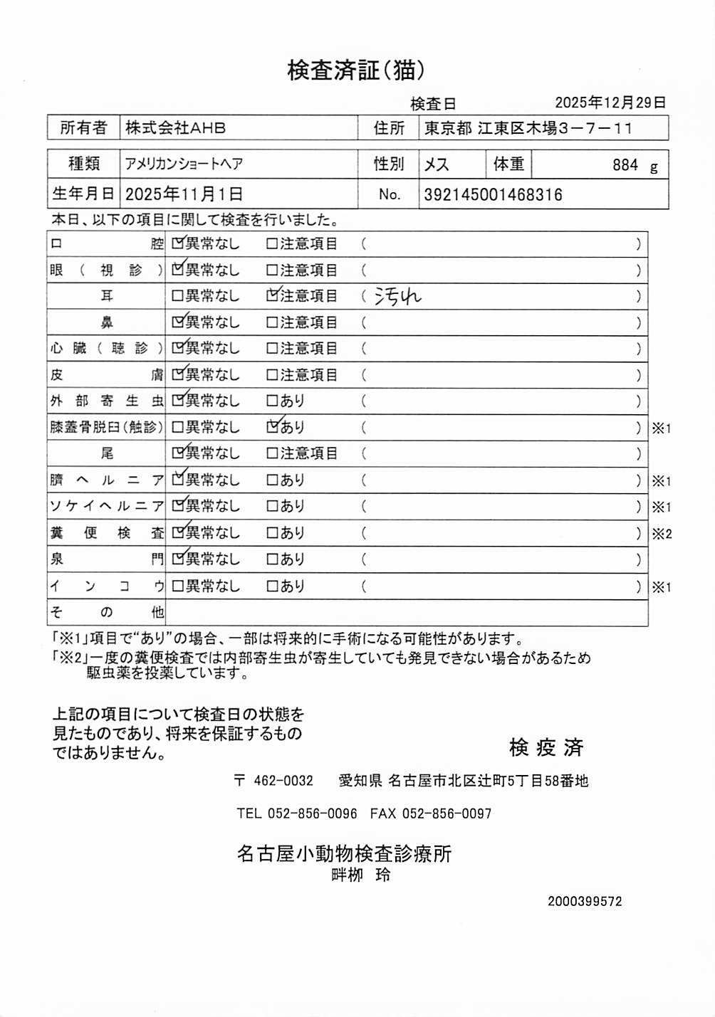 アメリカンショートヘア