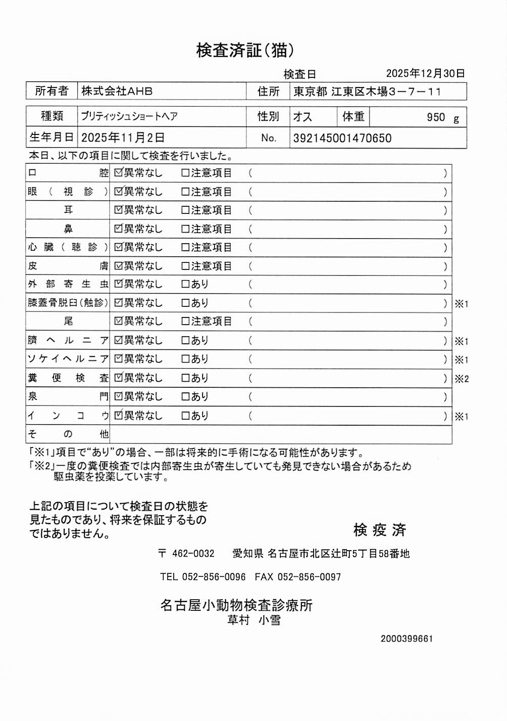 ブリティッシュショートヘア