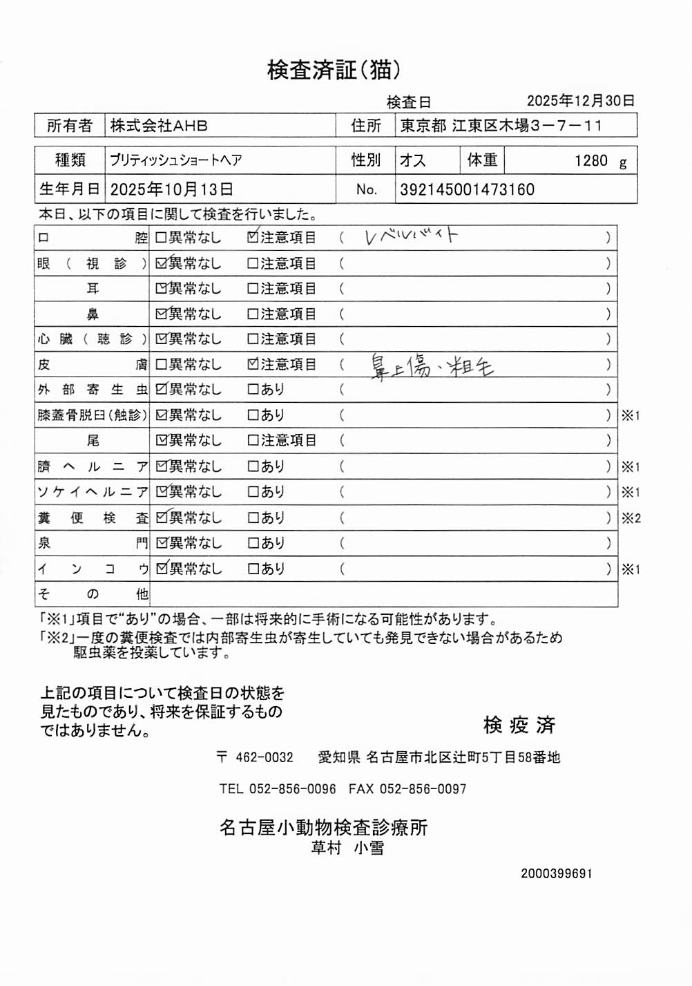 ブリティッシュショートヘア