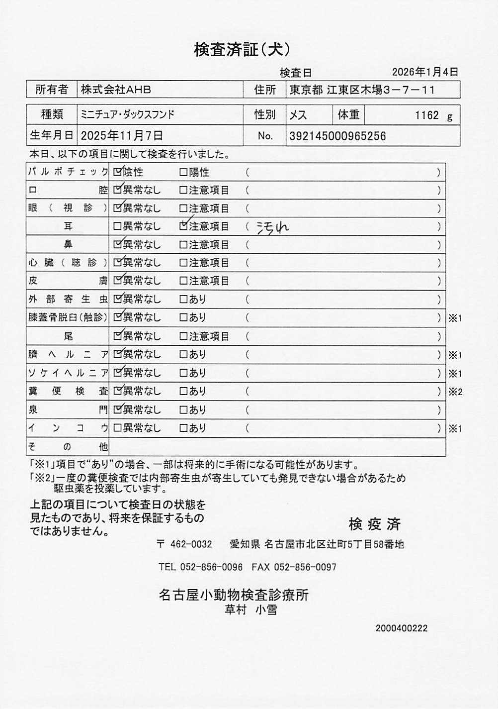 ミニチュア・ダックスフンド