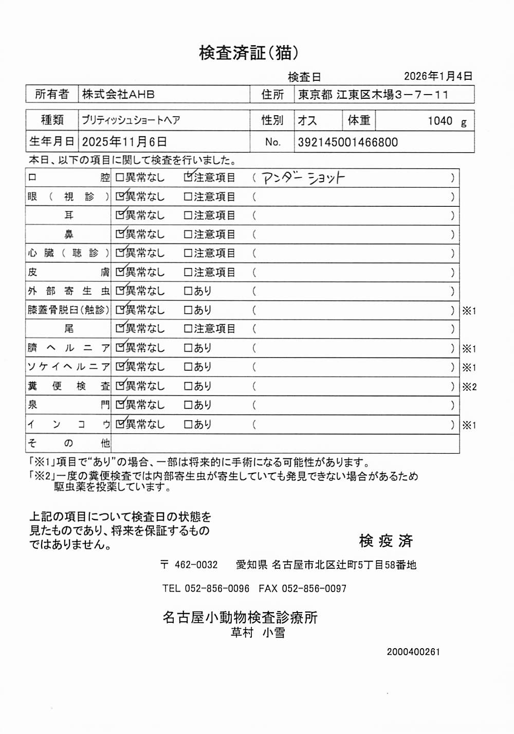 ブリティッシュショートヘア