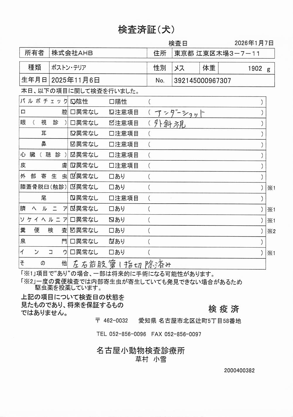 ボストン・テリア