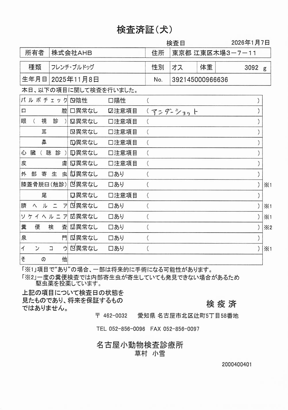 フレンチ・ブルドッグ