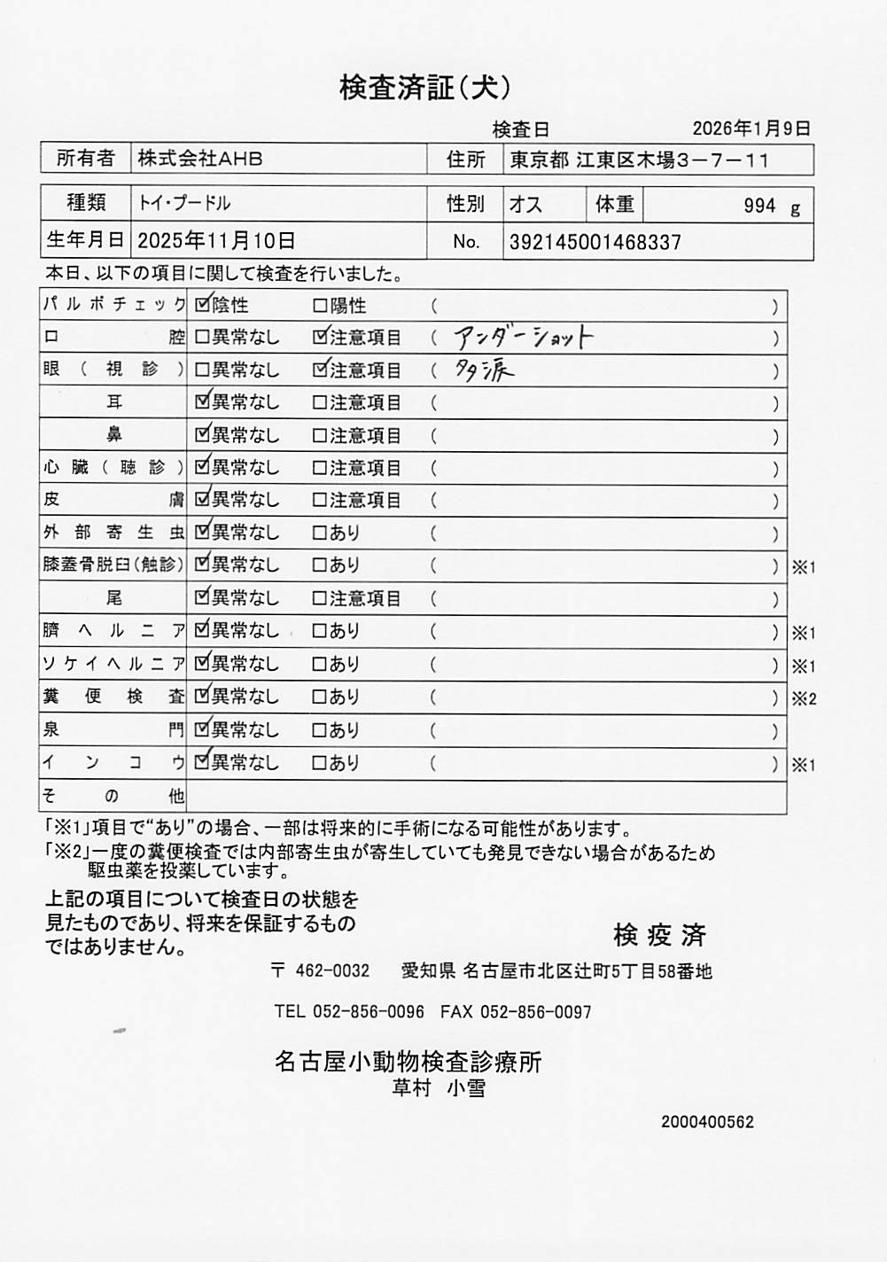 トイ・プードル