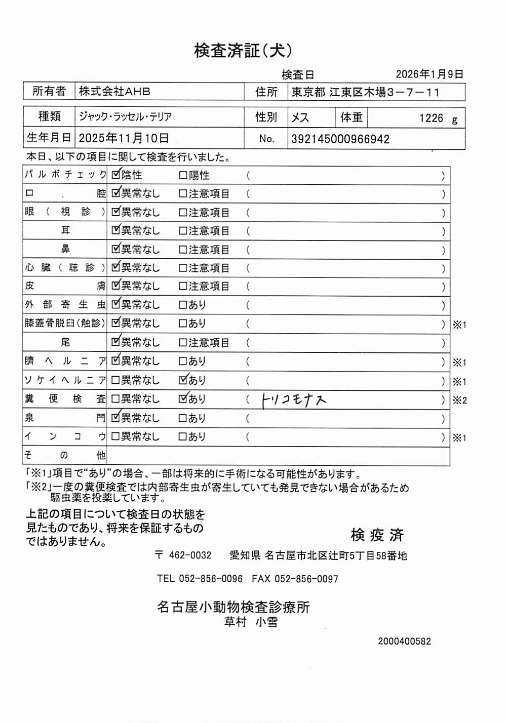 ジャック・ラッセル・テリア