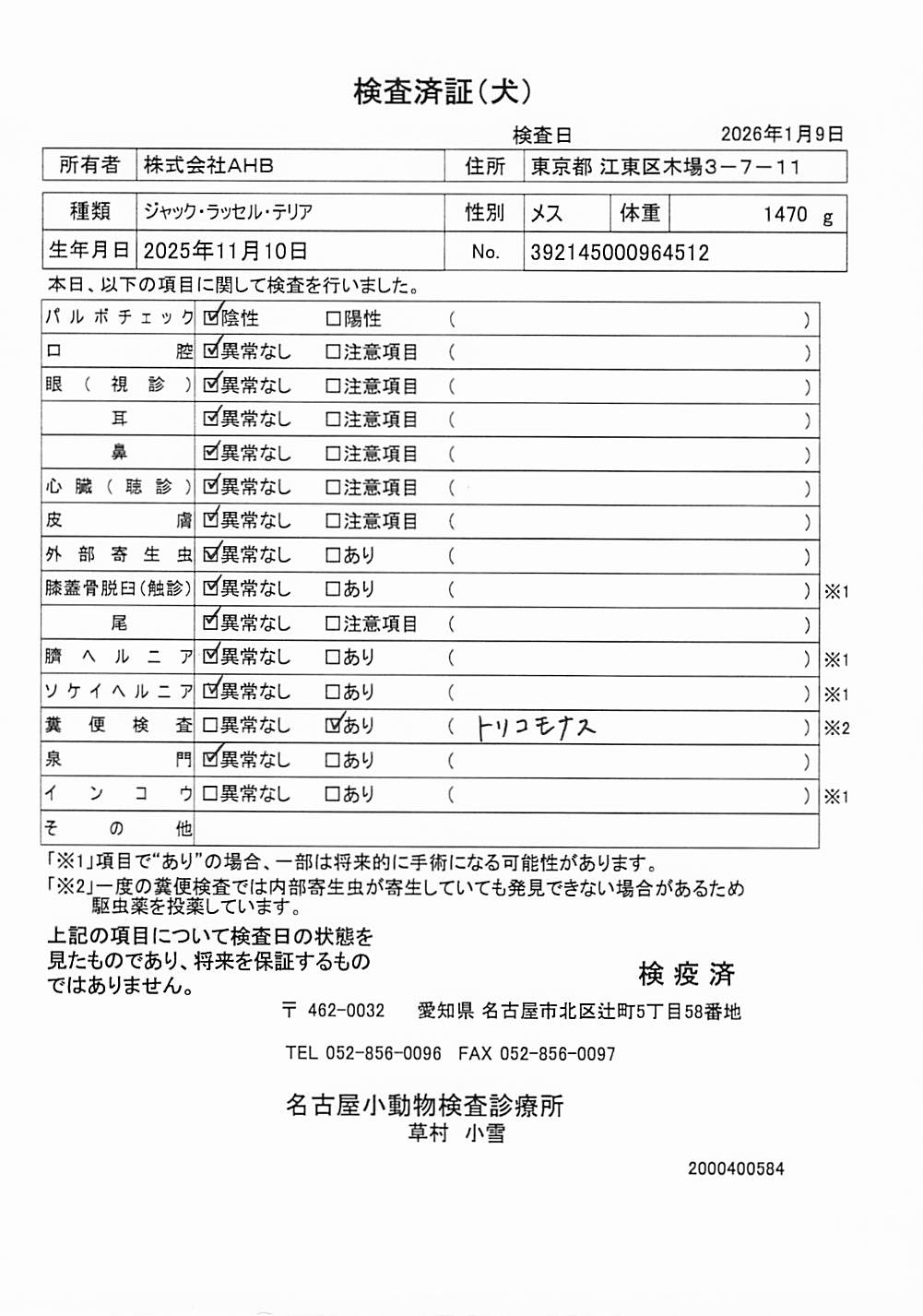 ジャック・ラッセル・テリア