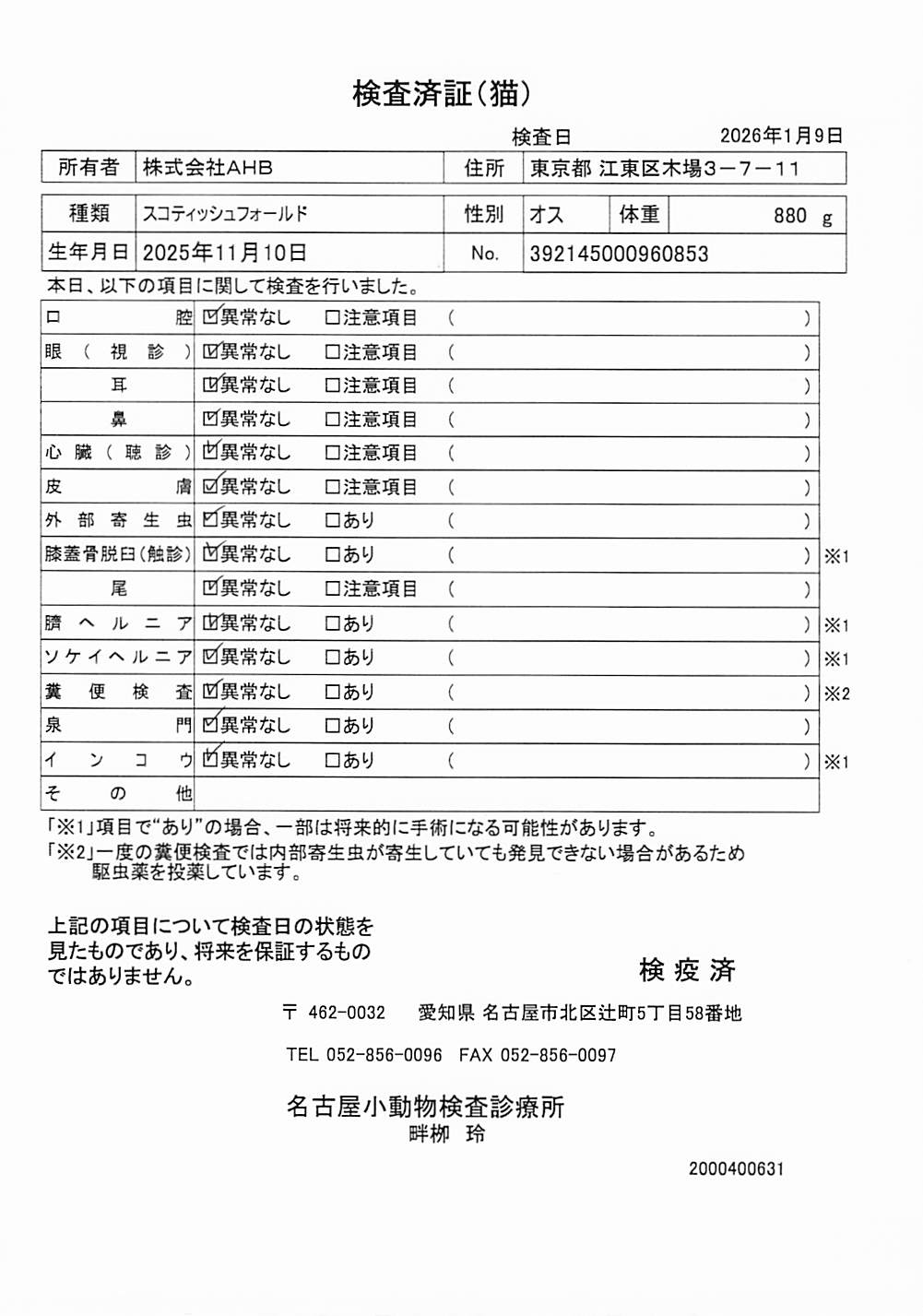 スコティッシュフォールド